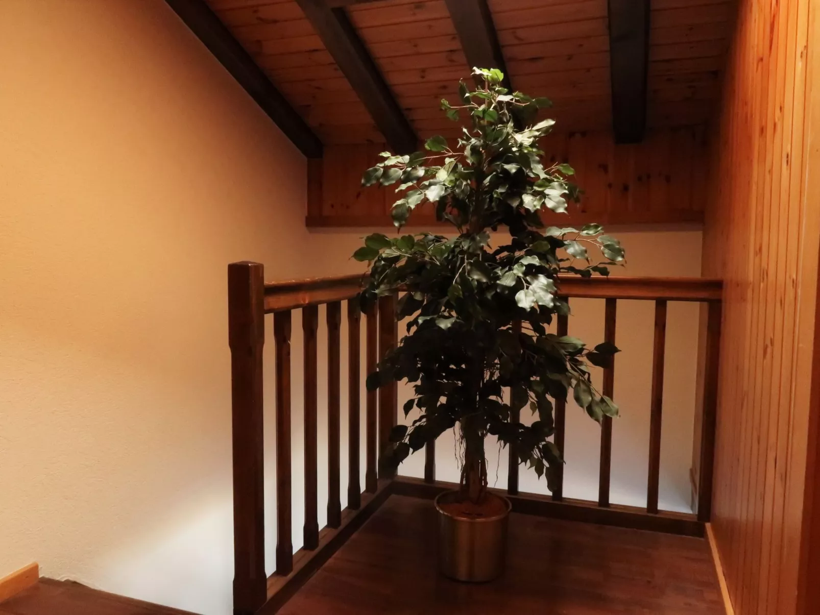 La Forêt C5 Attique-Inside