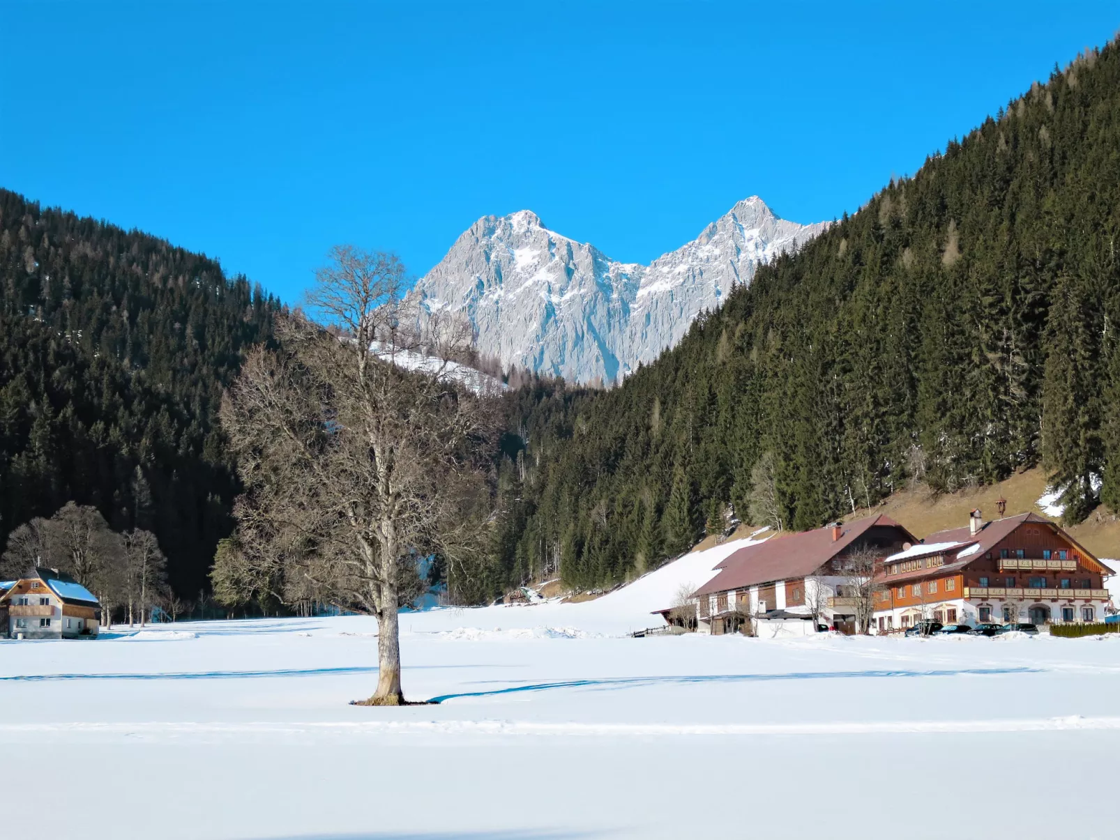 Berghaus Weitblick-Area