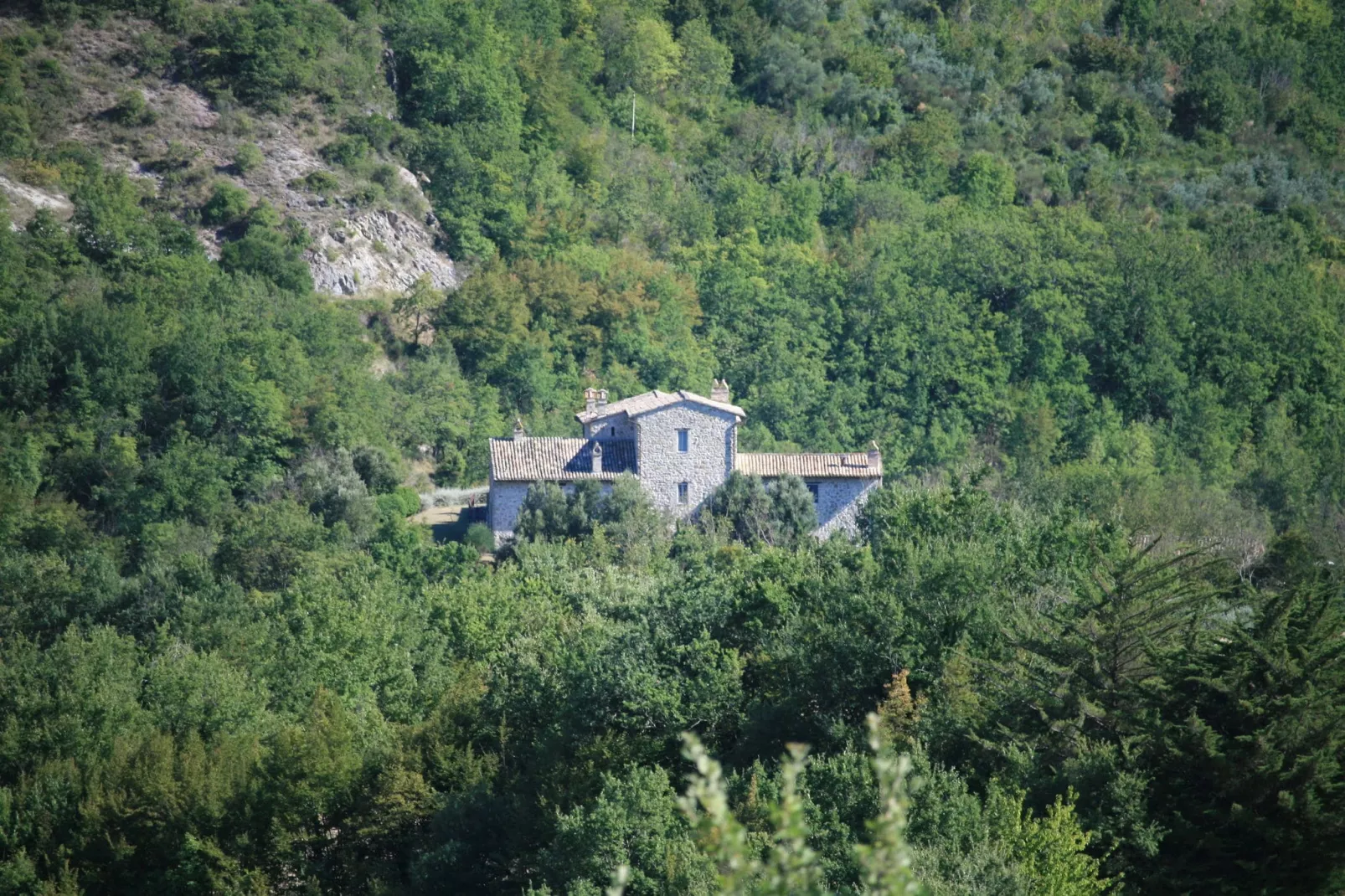 Ginestrilo-Exterior summer