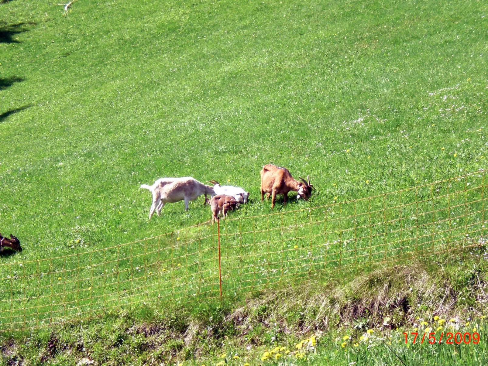 Mühlenmichelshäusle-Outside