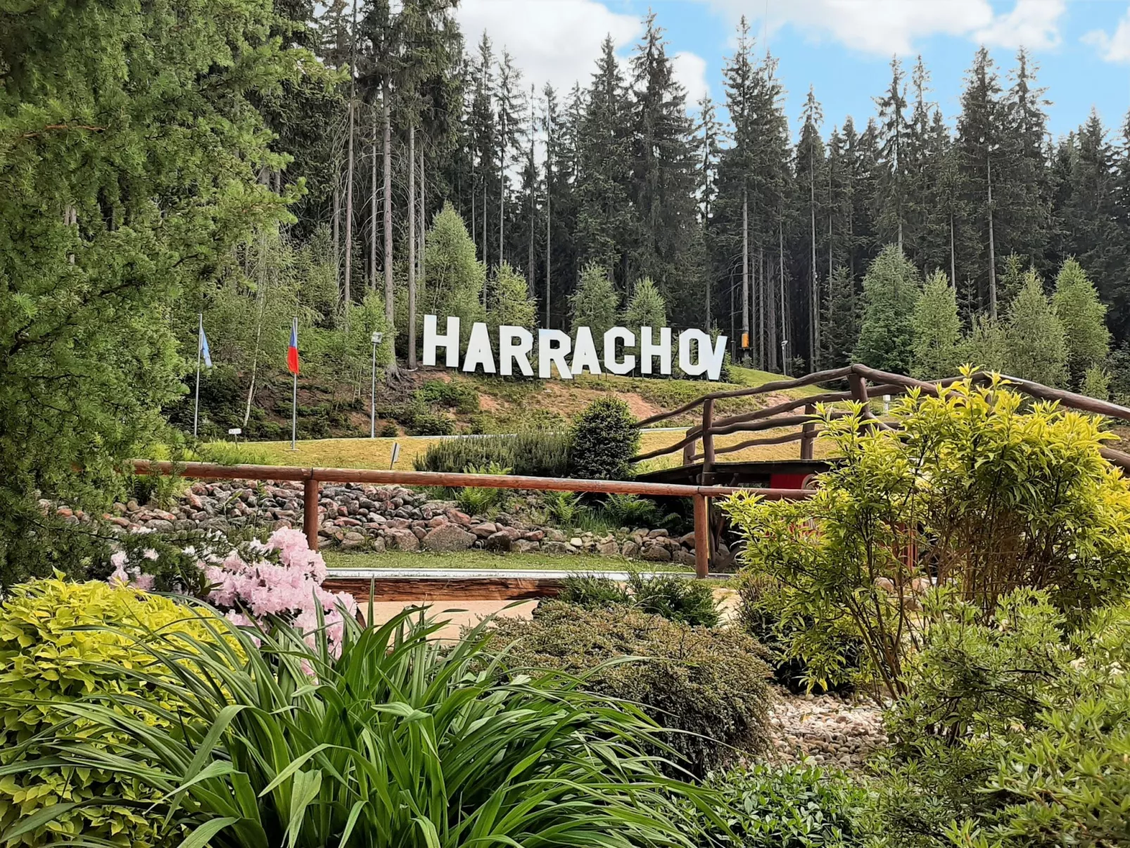 Helena Harrachov-Draußen