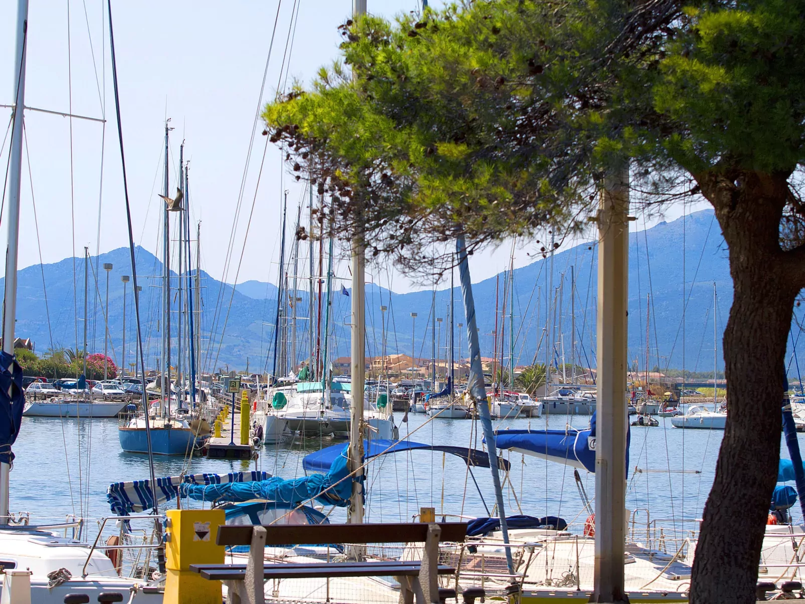 Les Jardins de Neptune-Area