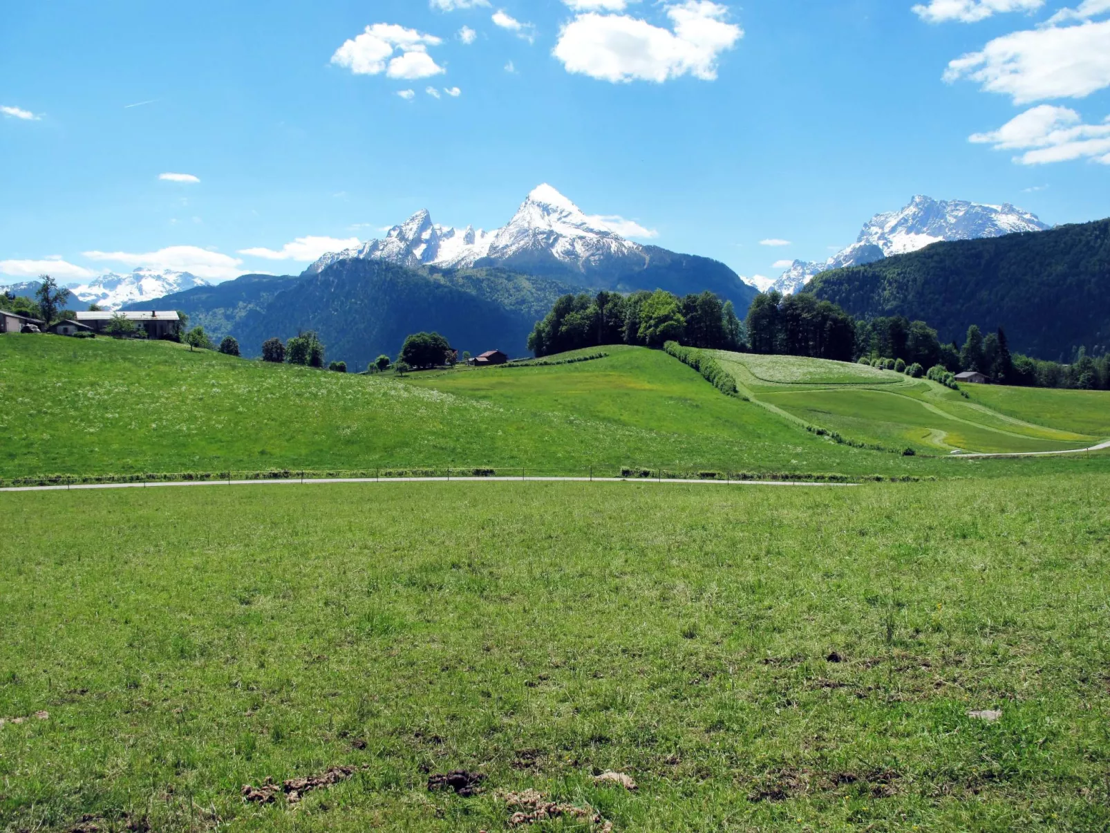 Alpenappartement Buchenhöhe A301-Area