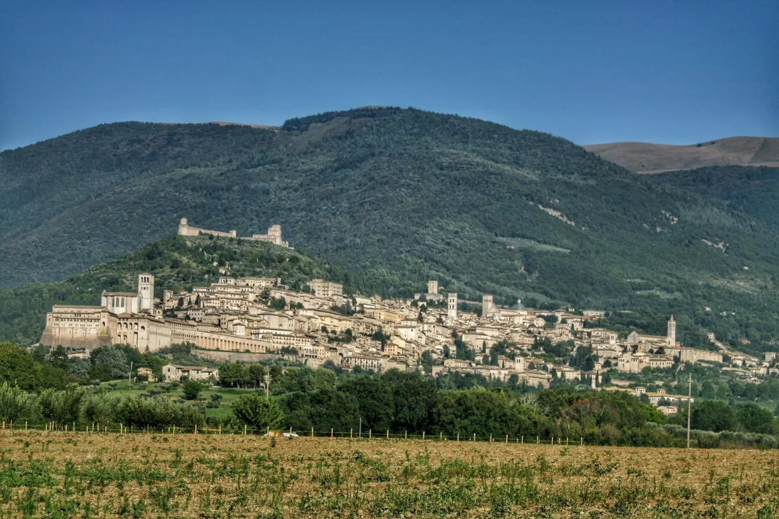 Ginestrilo-Areas summer 5km