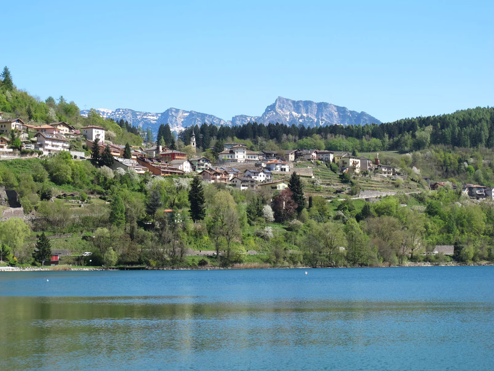 Martinelli-Area