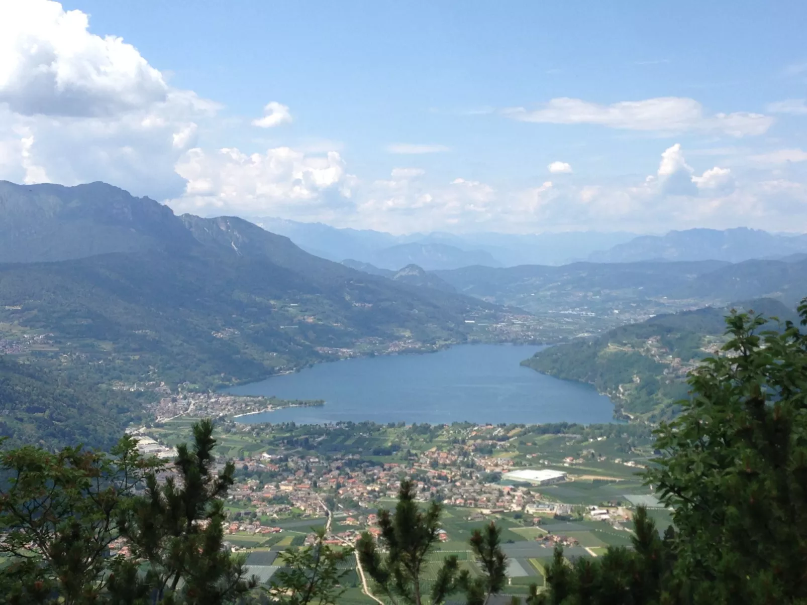 Martinelli-Area