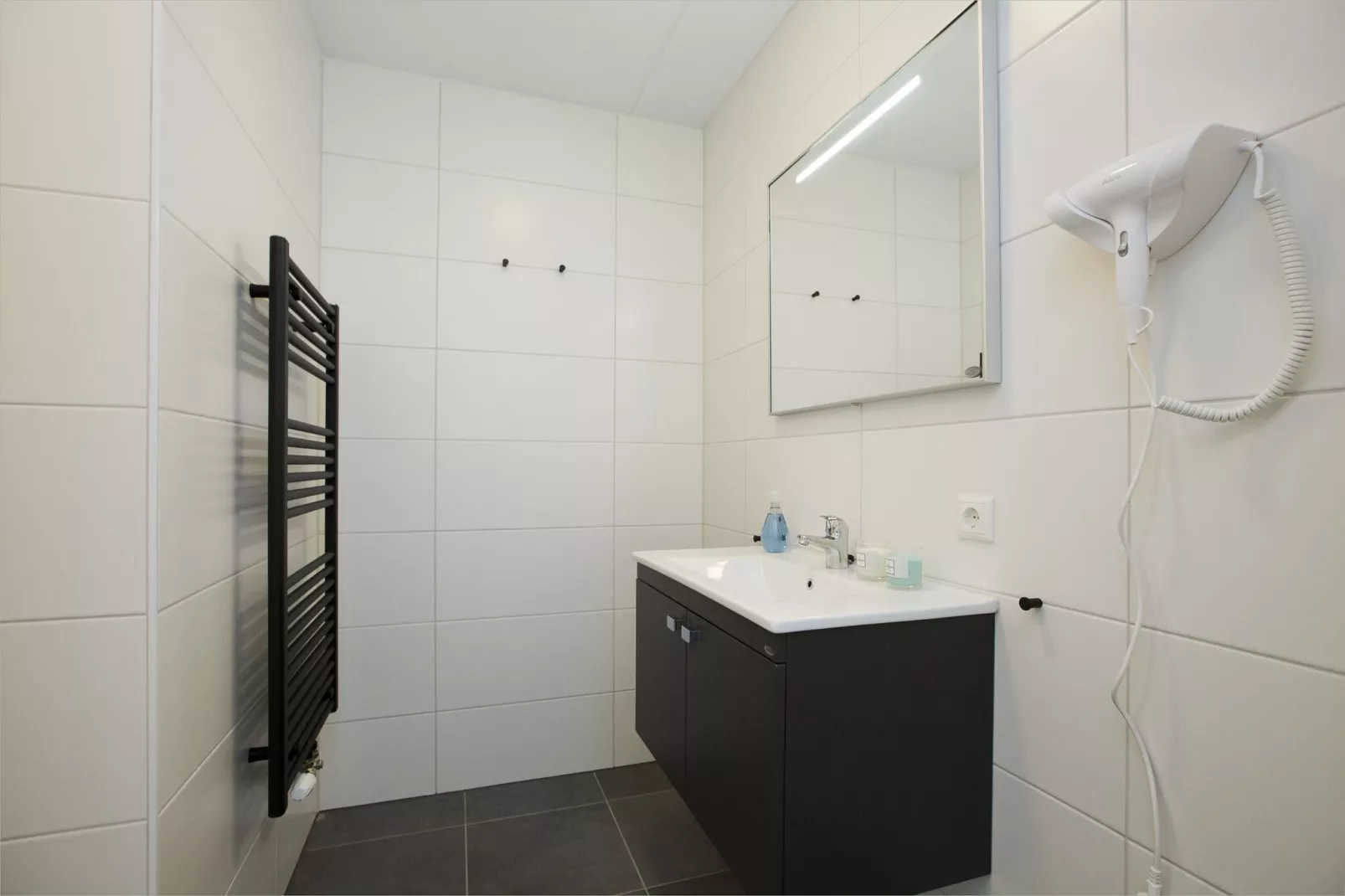 Landgoed De IJsvogel 7-Bathroom