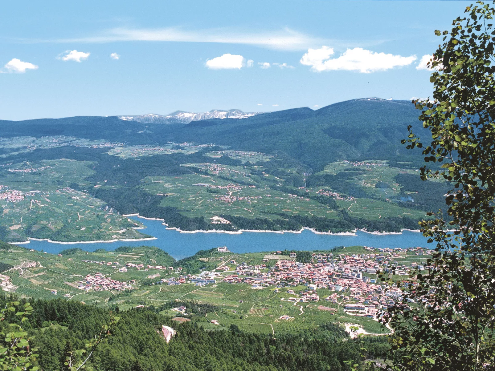Pancheri-Area
