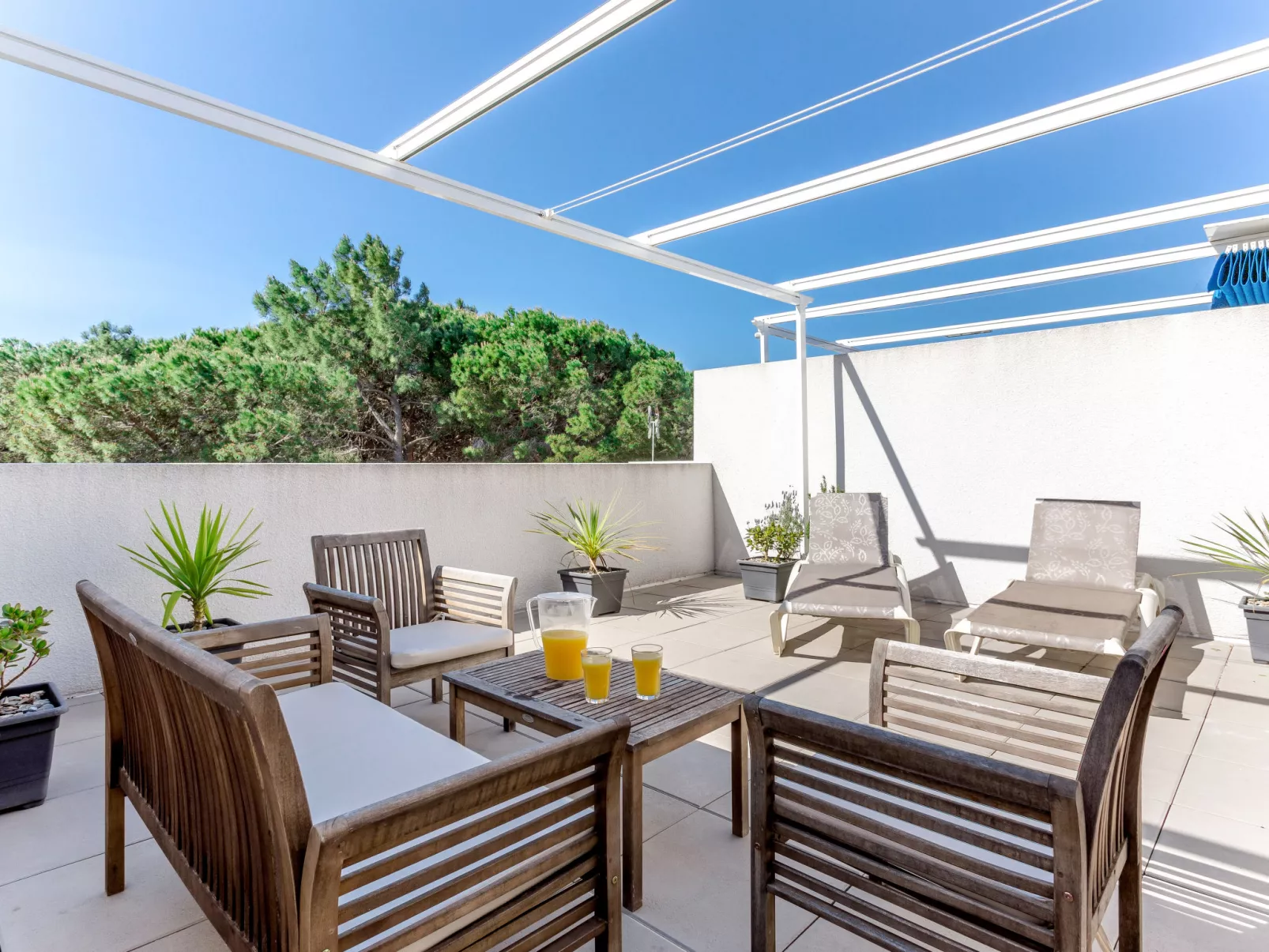 Les Pins Parasols