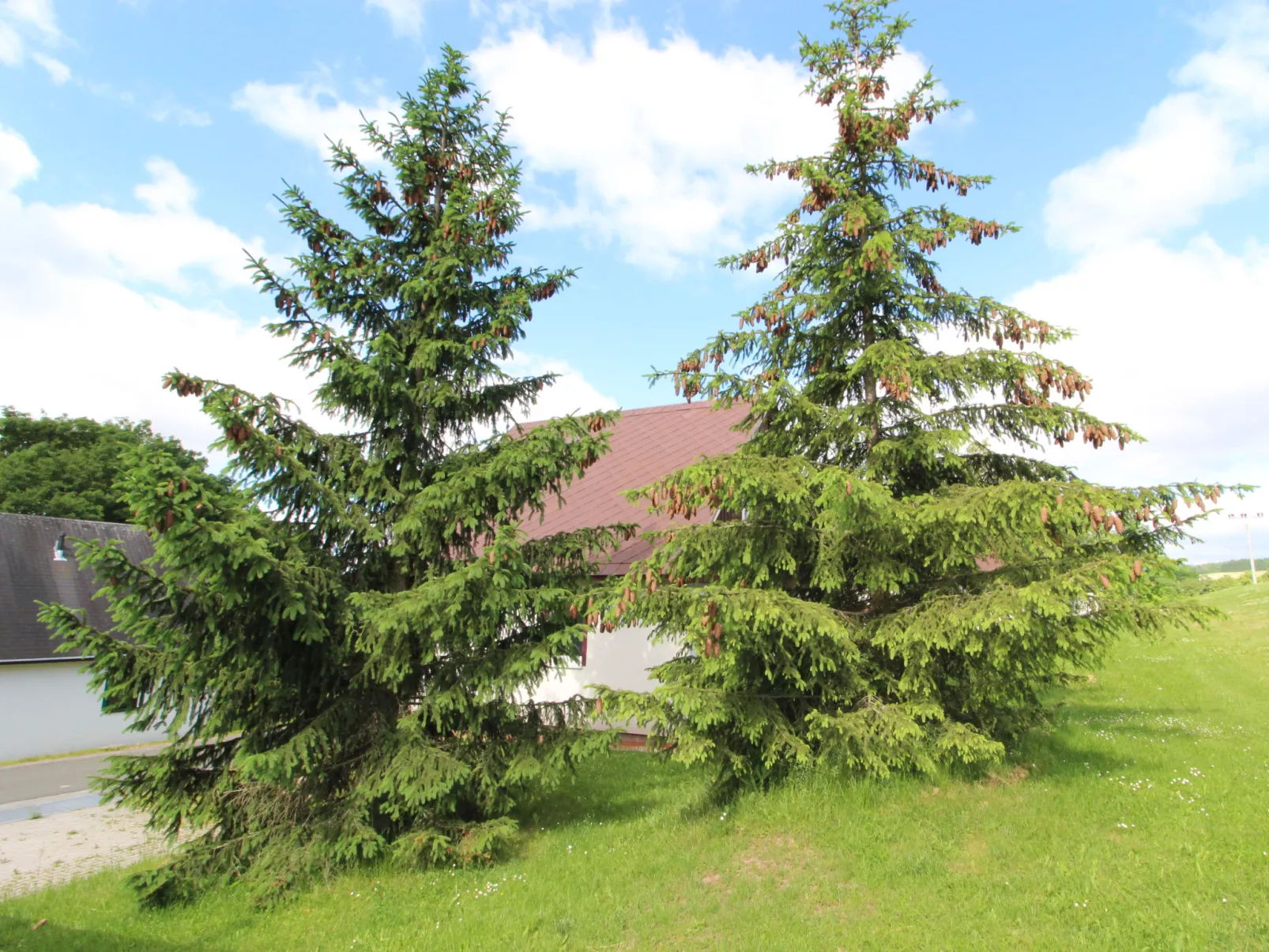 Holiday Hill 44-Draußen