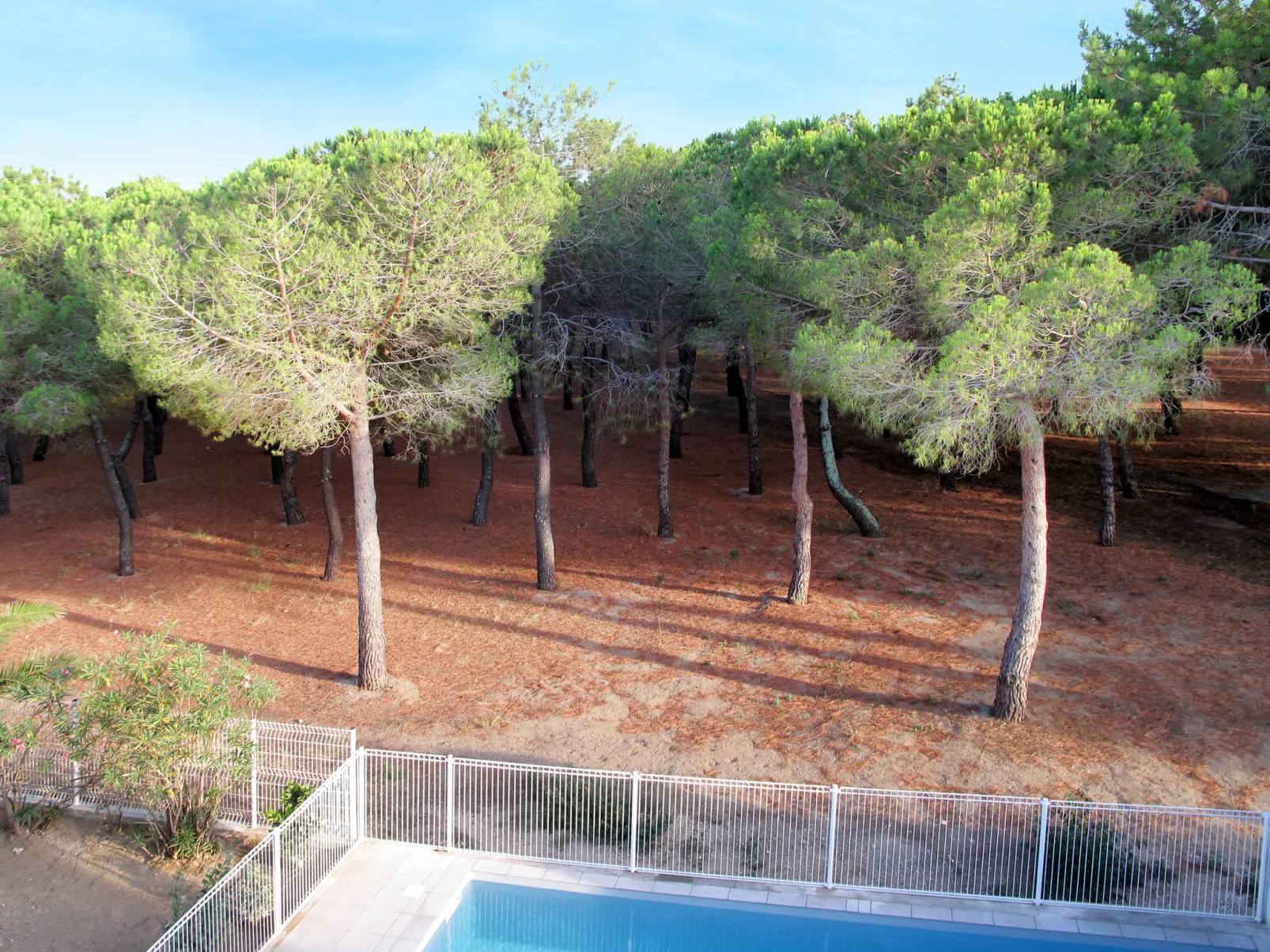 Les Pins Parasols-Dehors