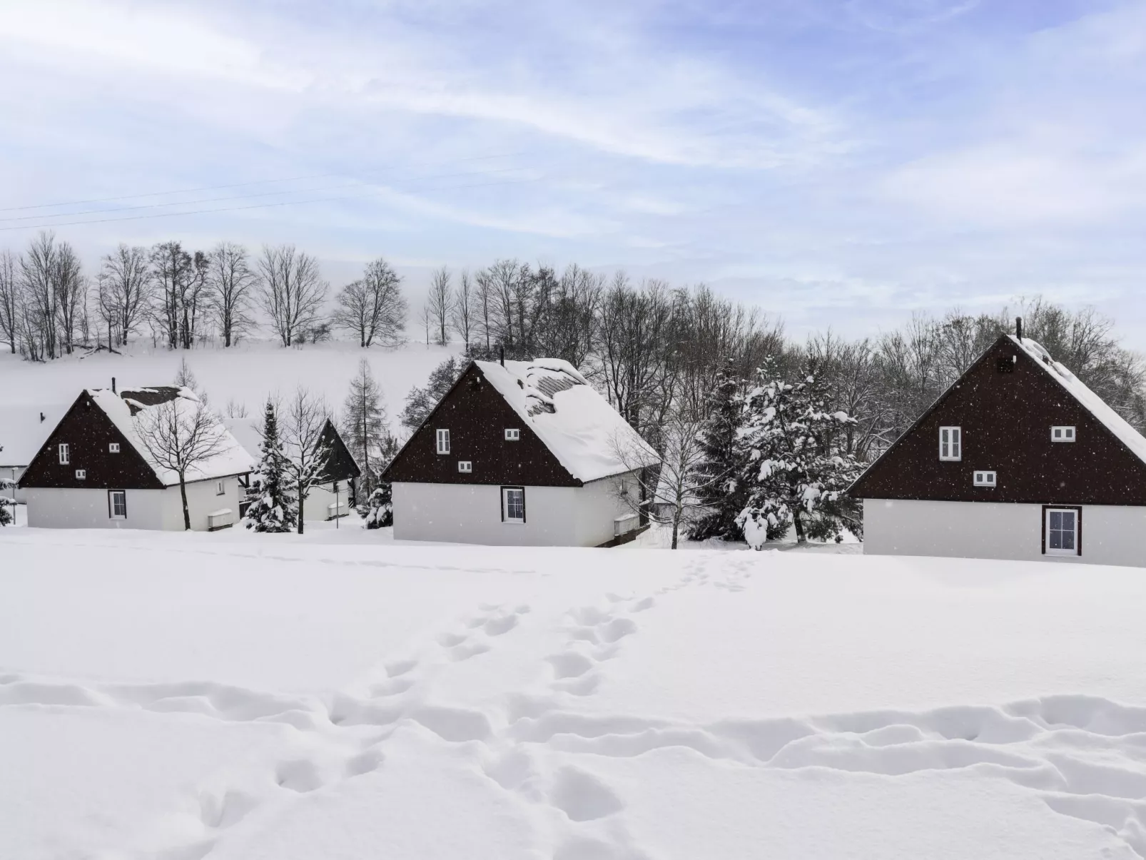 Holiday Hill 44-Draußen