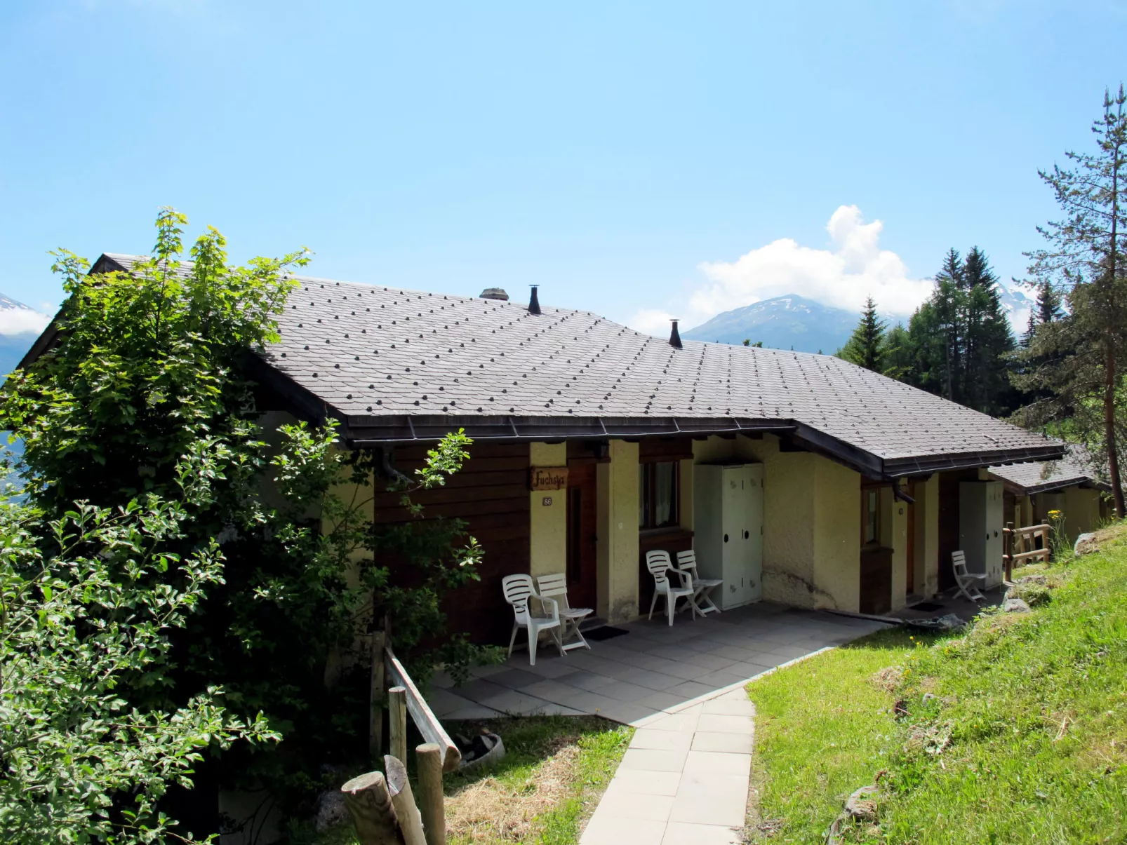 Genepi-Outside