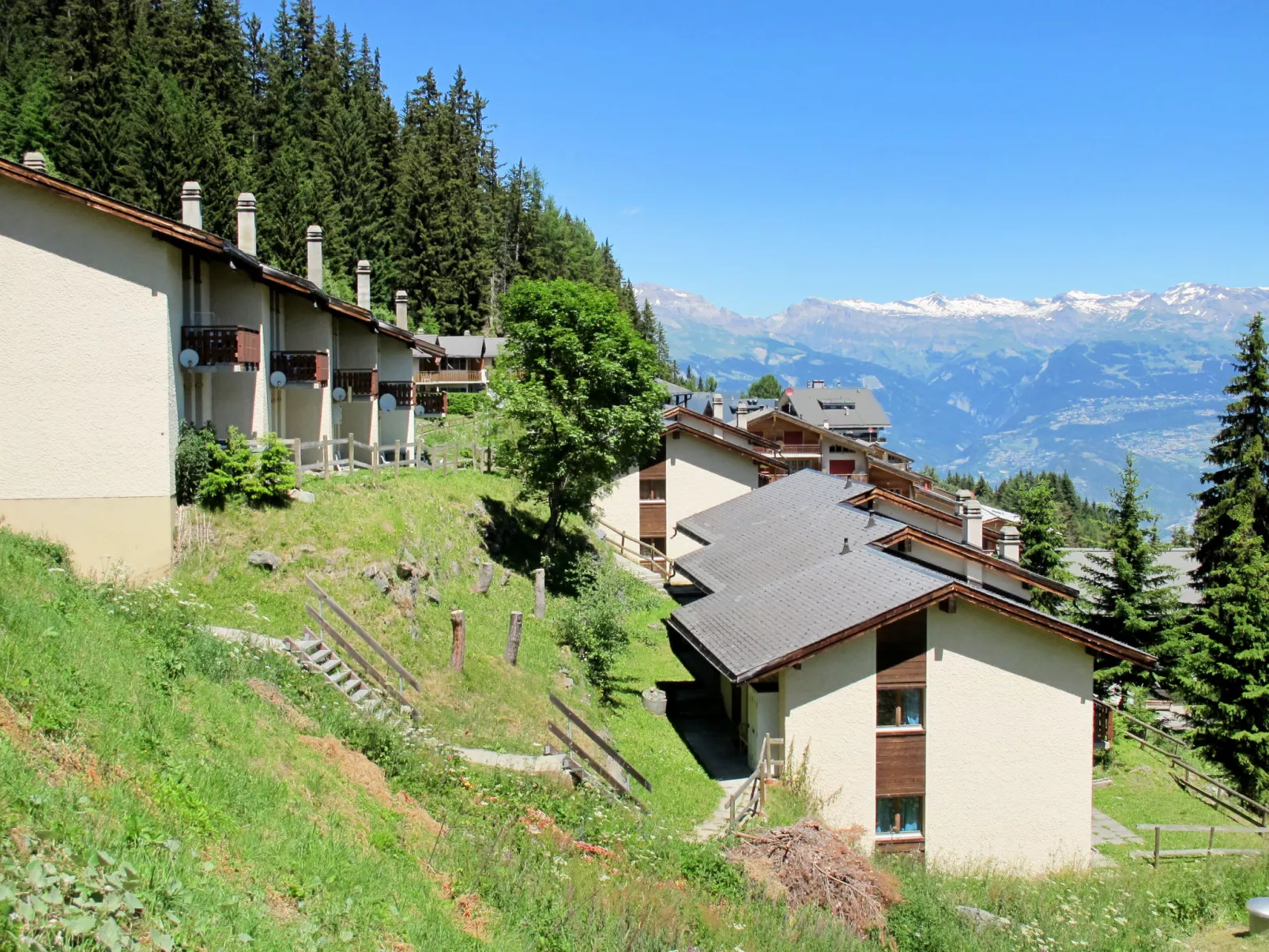 Genepi-Outside