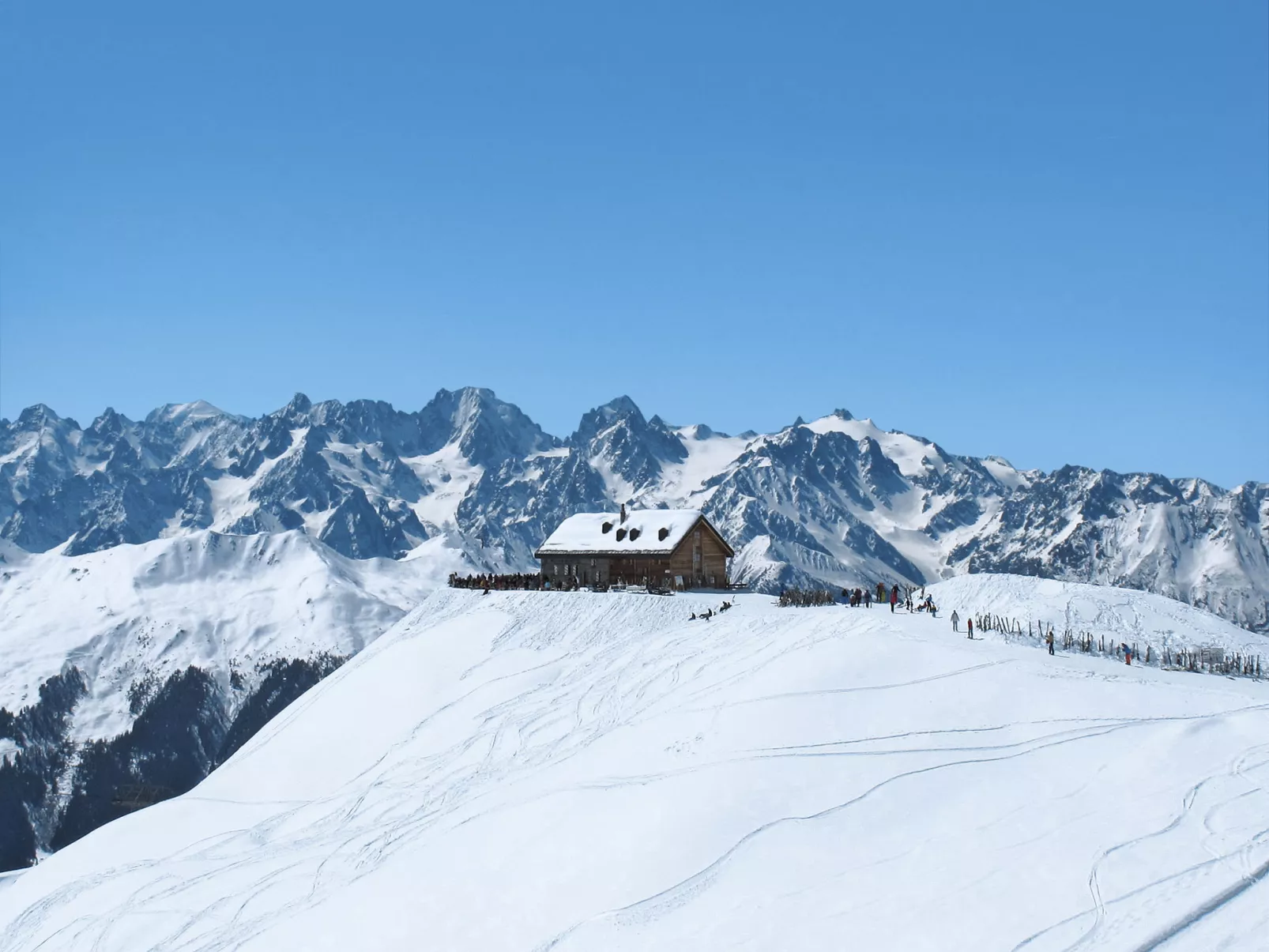 Genepi-Area