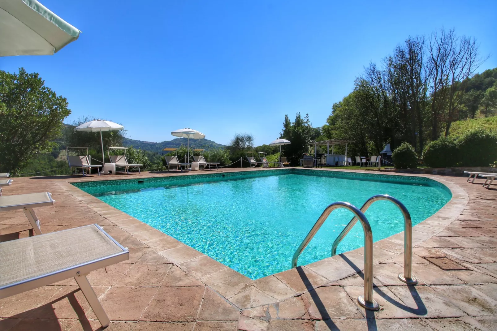 Calendula-Pool