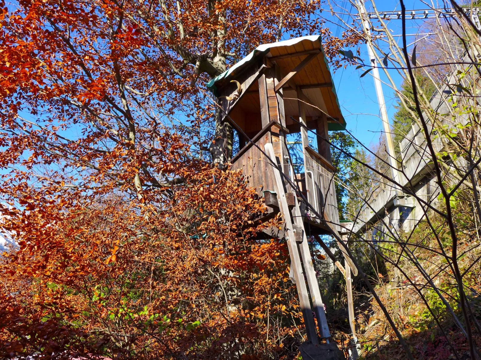 Chalet Guldeli-Outside