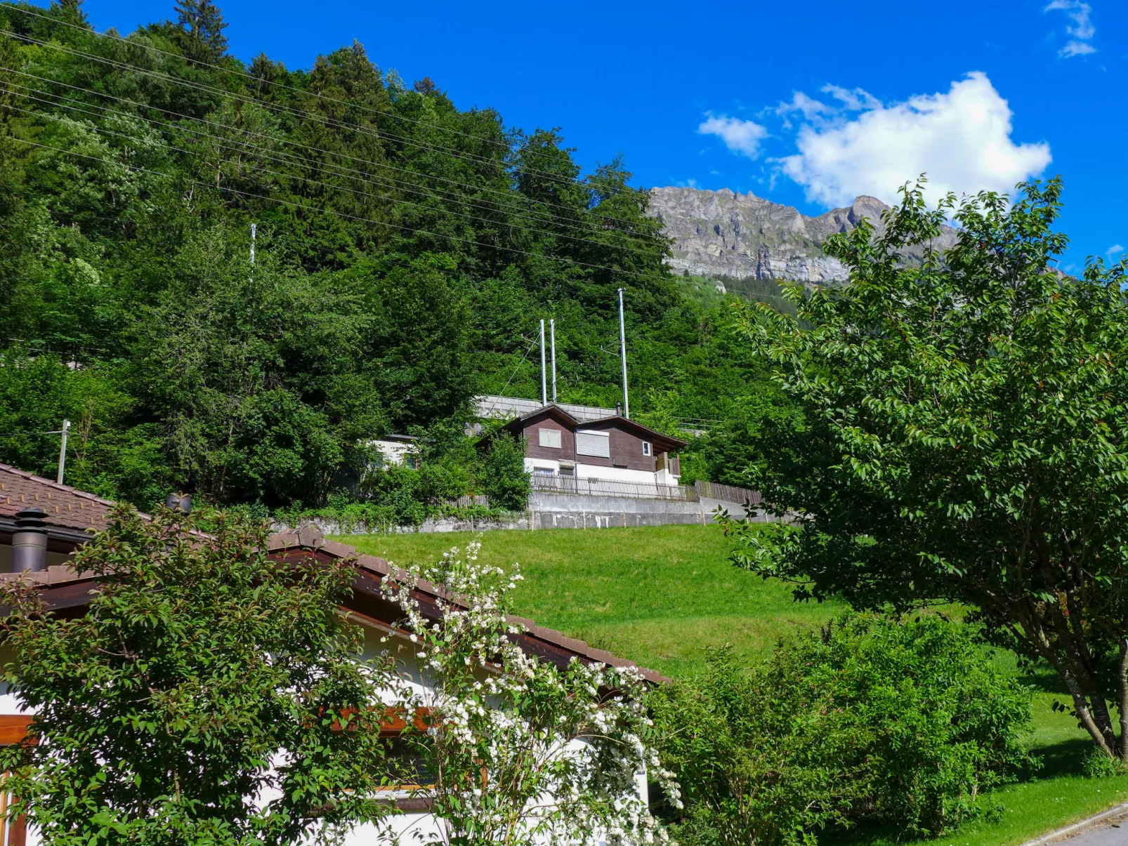 Chalet Guldeli-Outside
