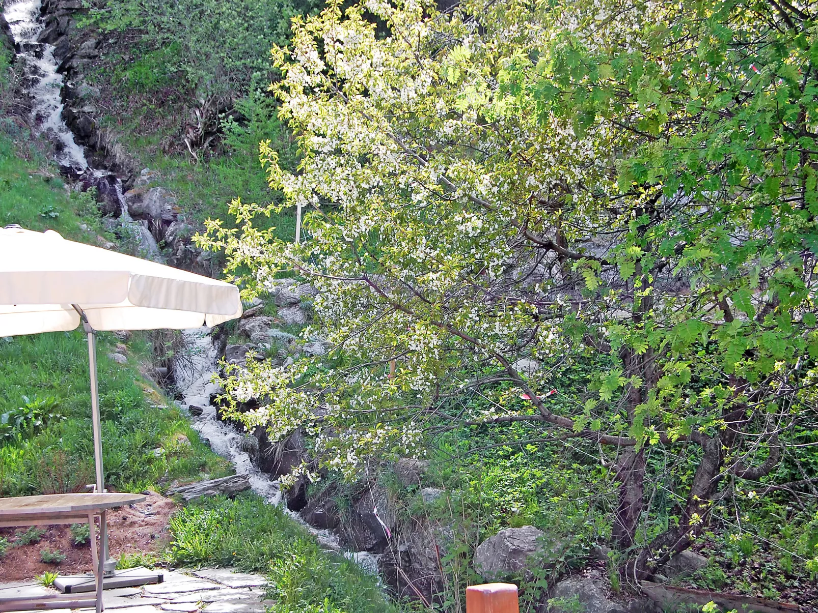 Chalet Arvine-Outside