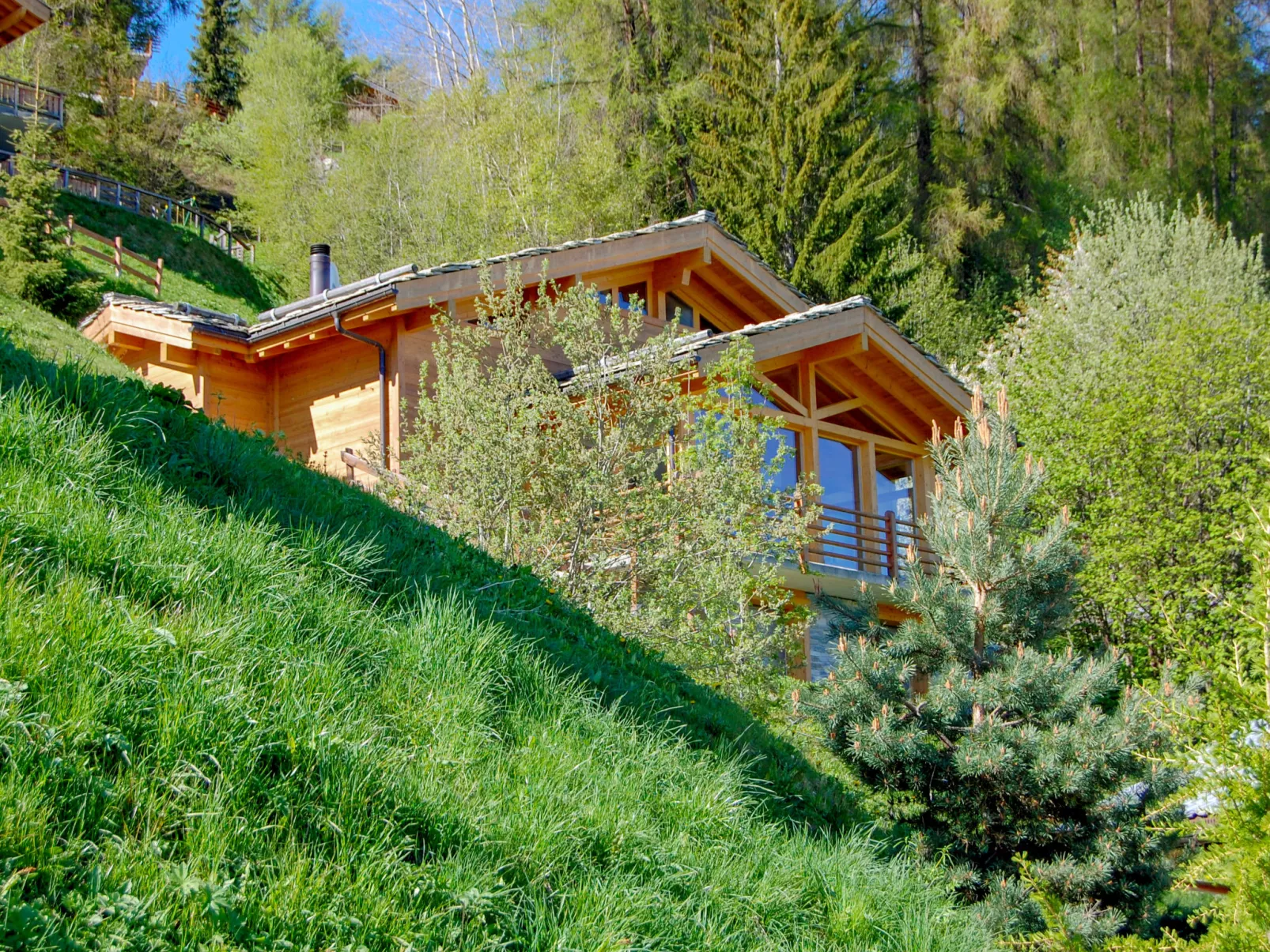 Chalet Arvine-Outside
