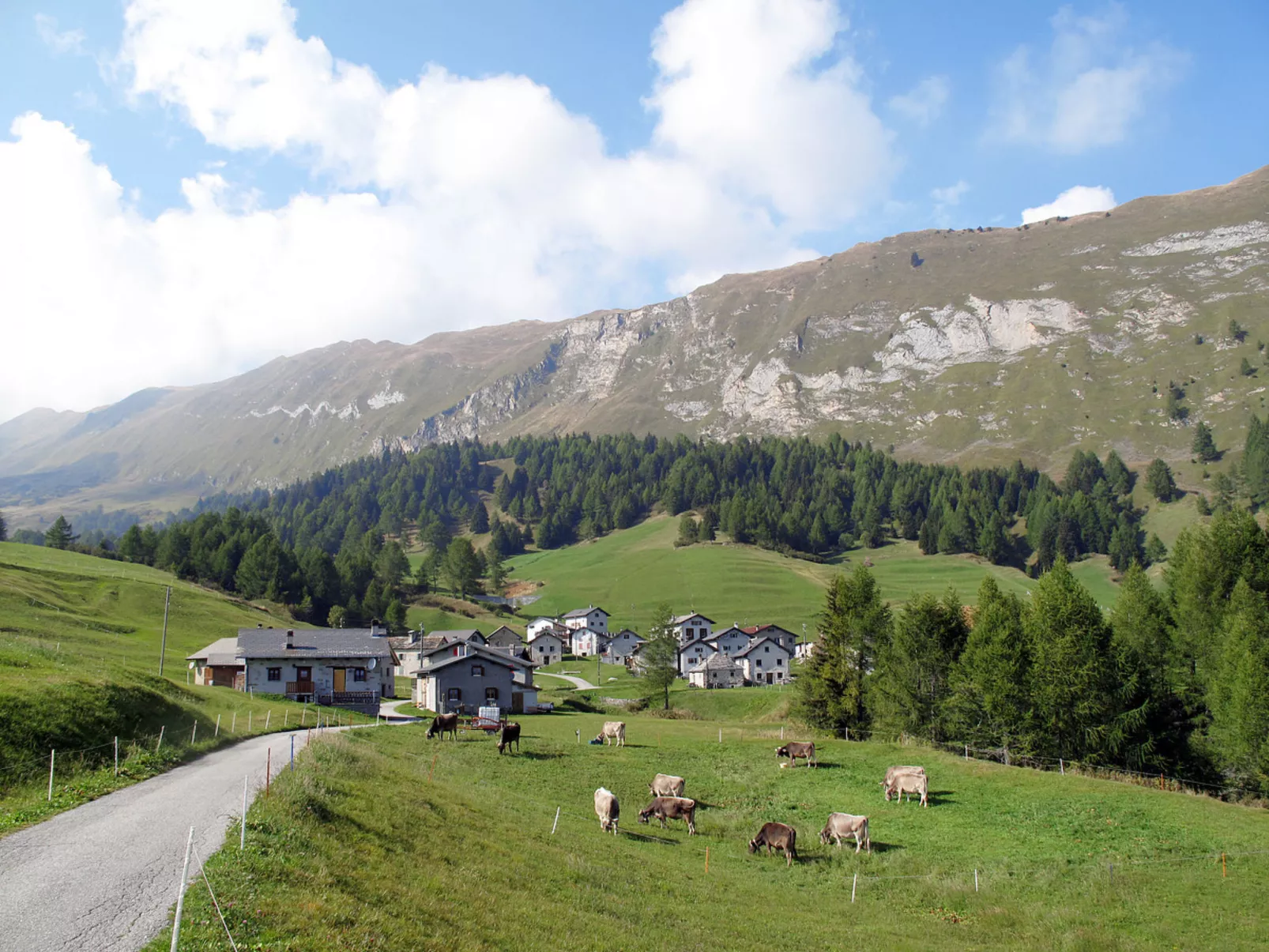 Rustico Dolomia-Area