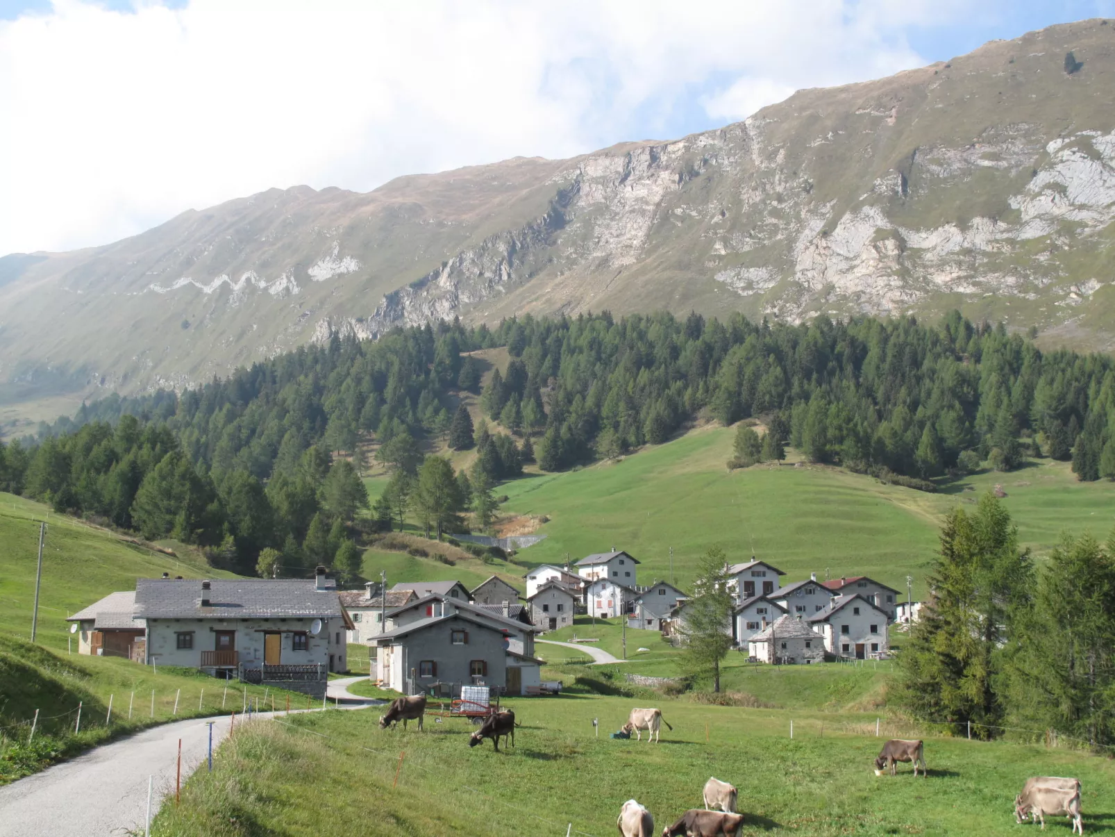 Rustico Dolomia-Area