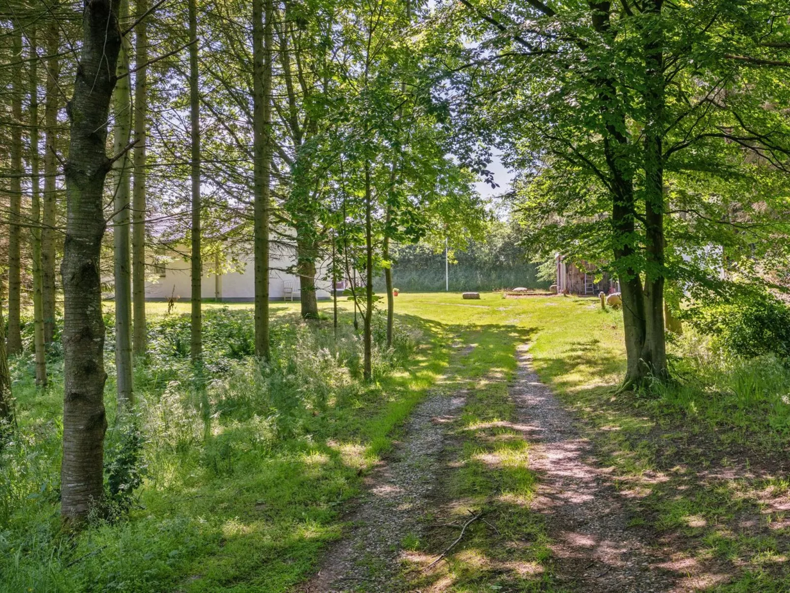 "Marsa" - 1.5km from the sea-Draußen