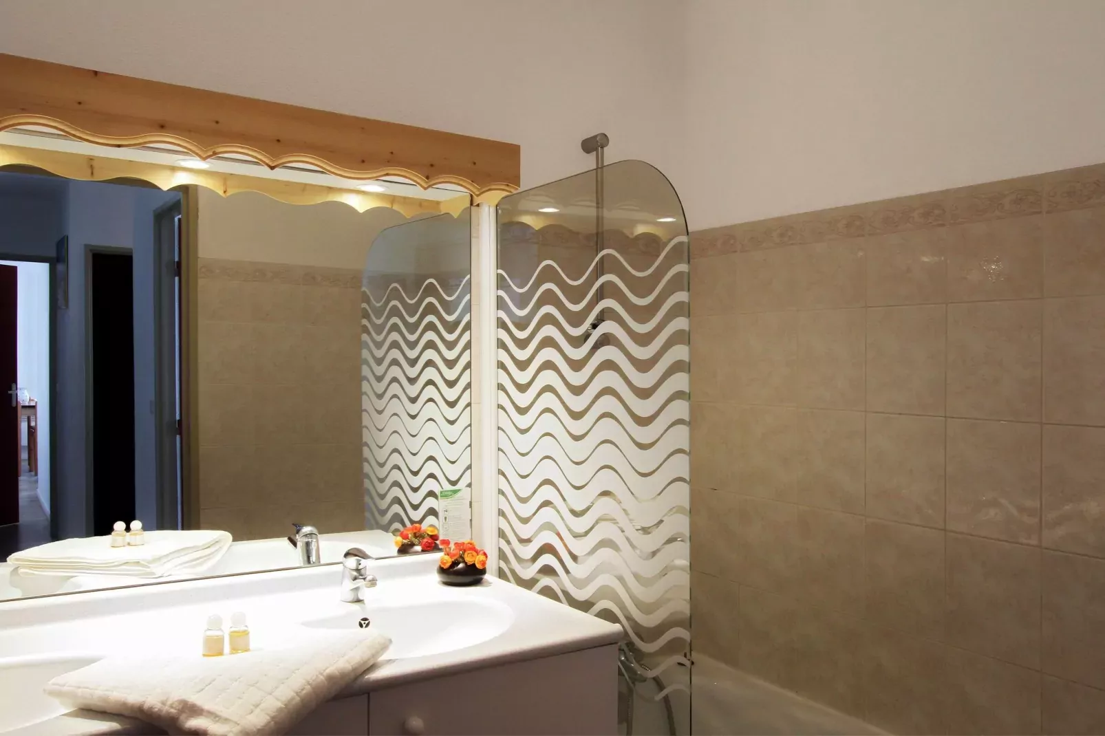 Residence Les Sybelles 1-Bathroom