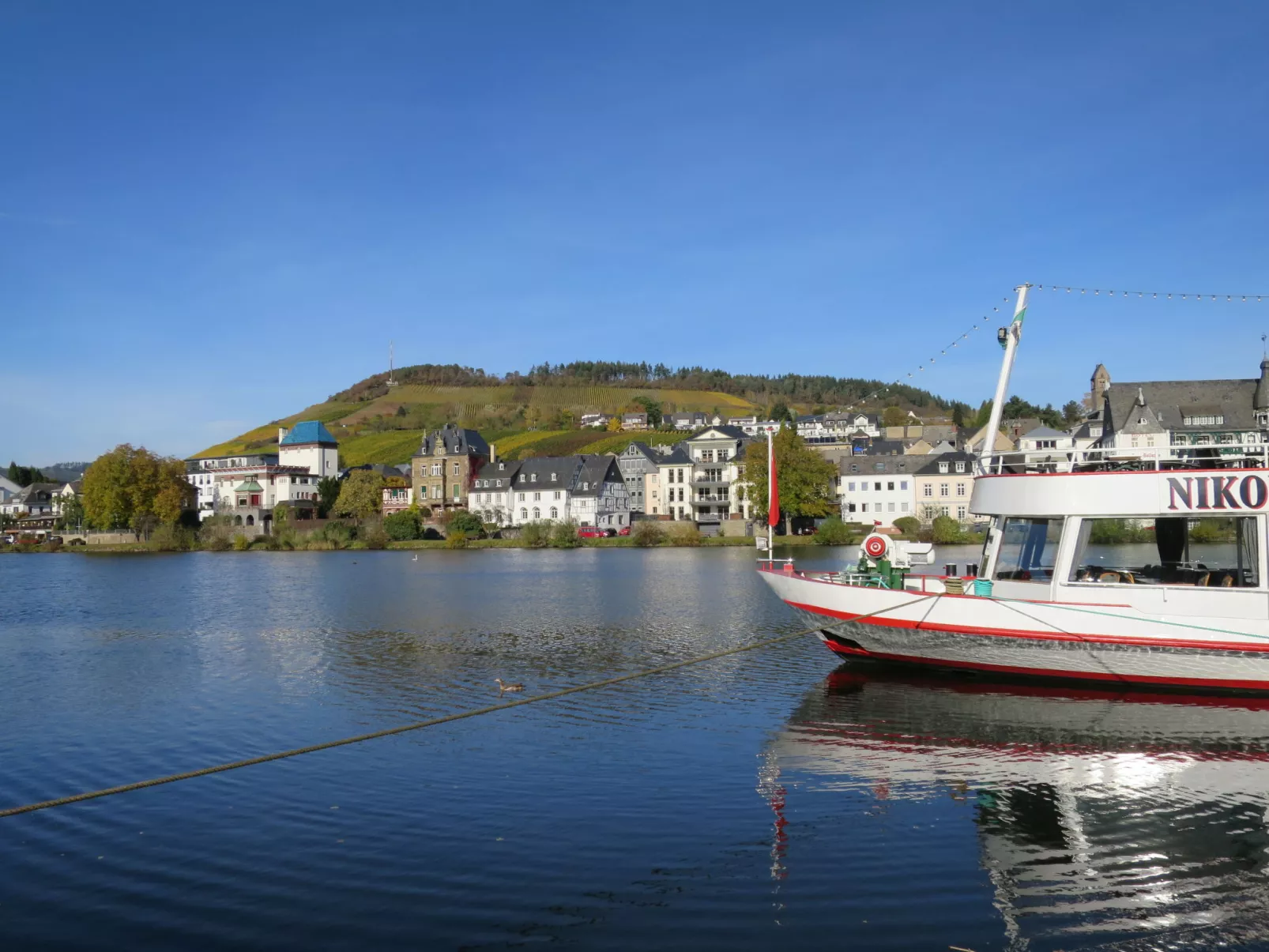 Moselhäuschen-Umgebung