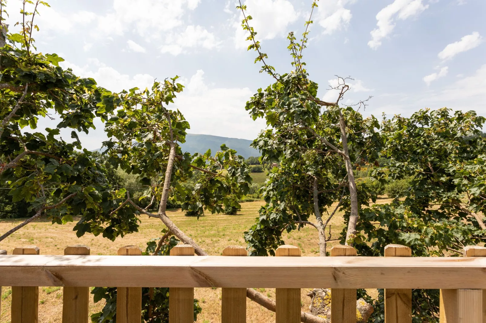 Agriturismo Paradiso Paola-Atmosphere