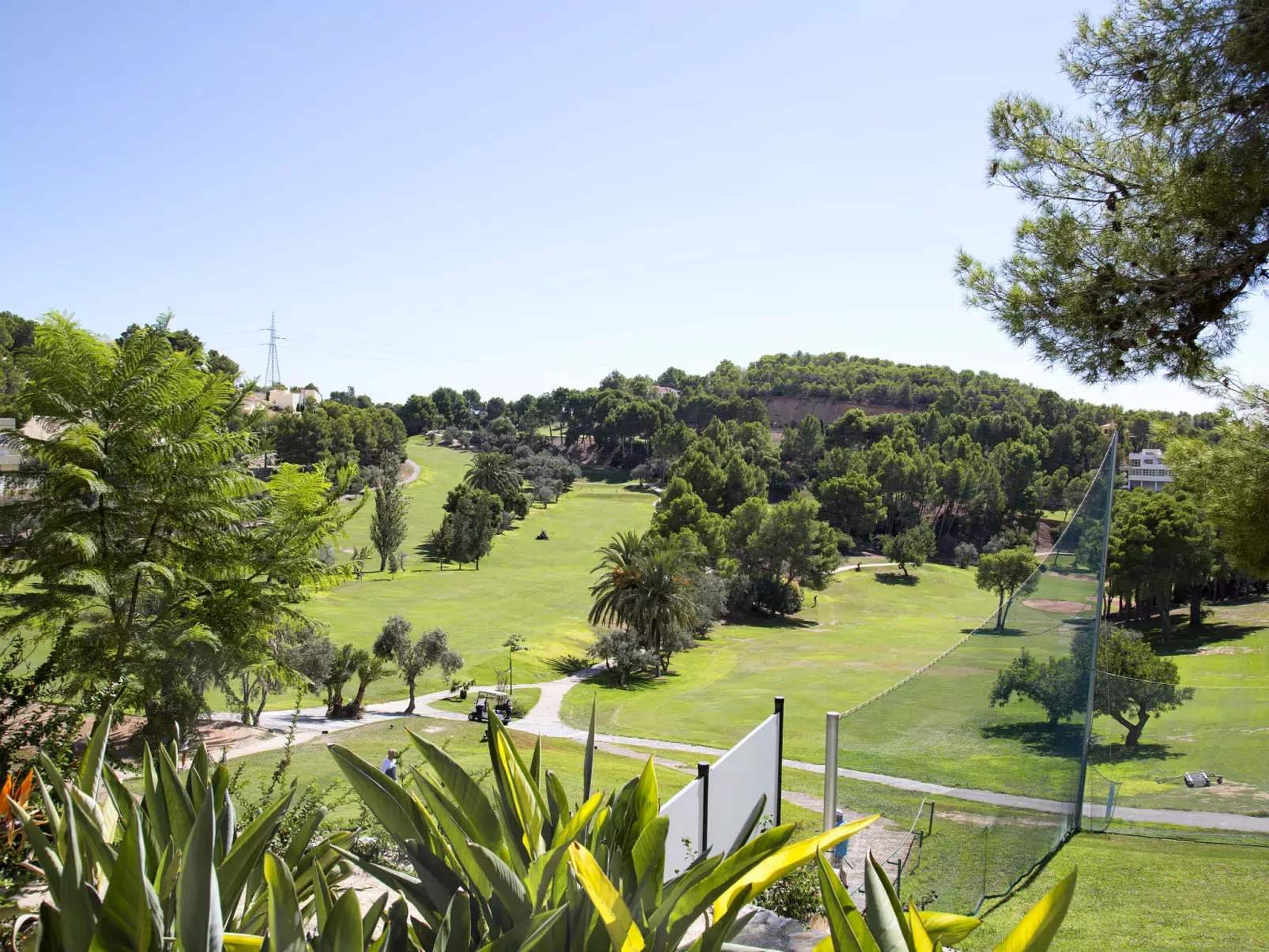 Bernia Golf-Draußen