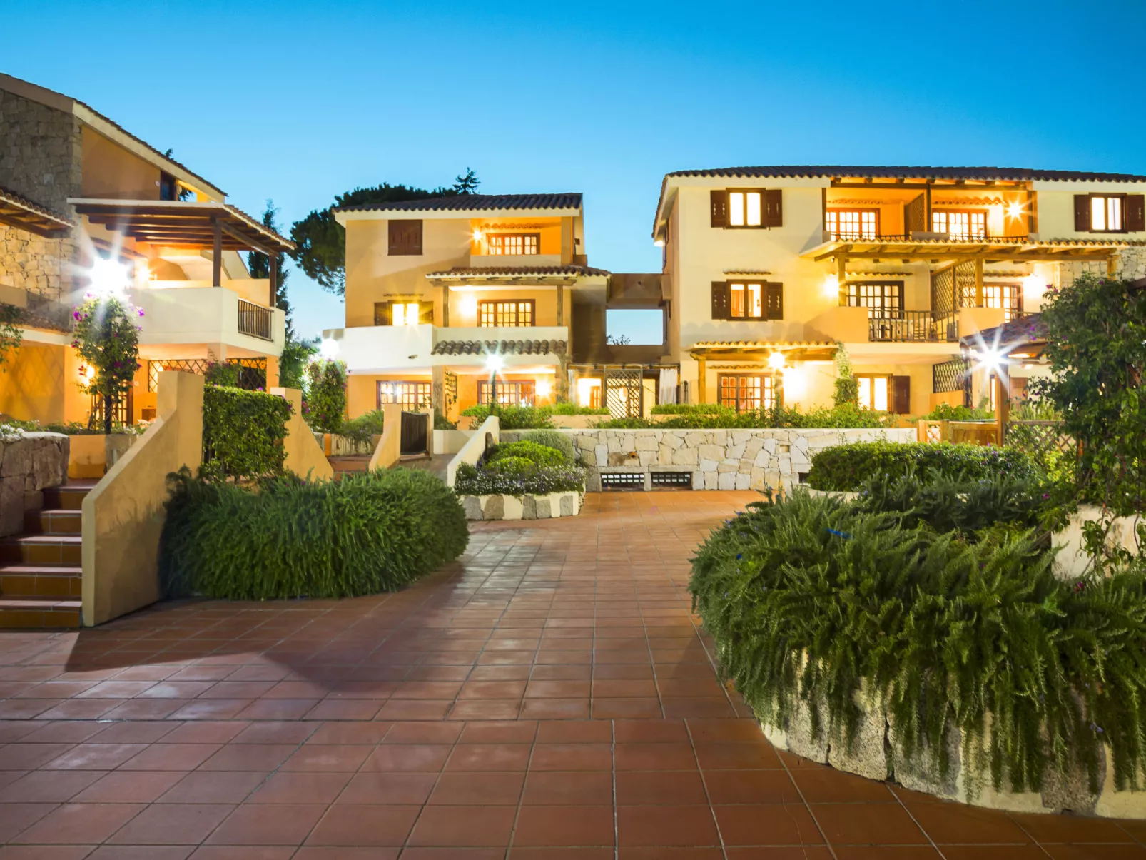 Bougainvillae Trilo Plus-Outside