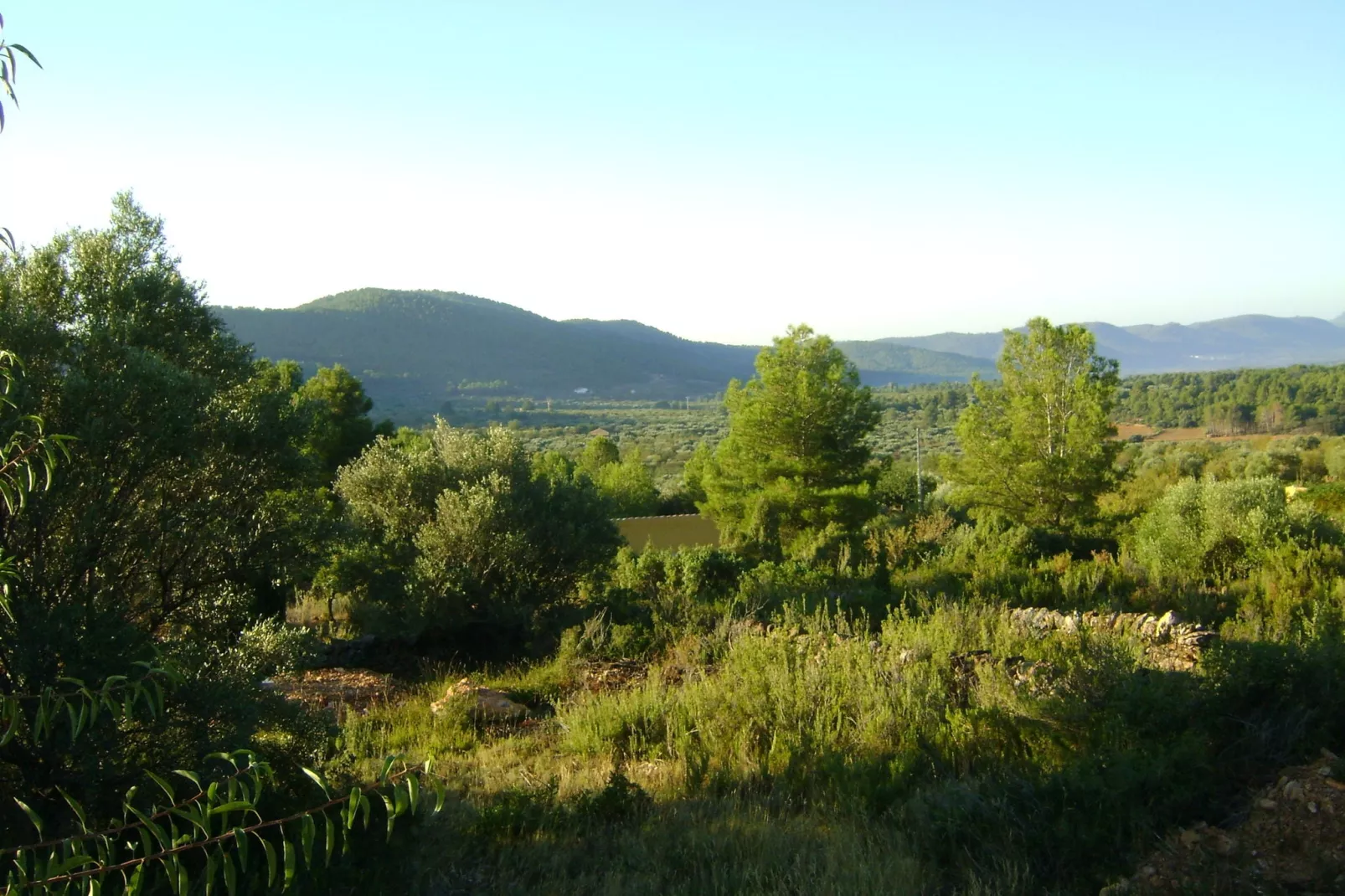 Masia Vinaixa - View in summer