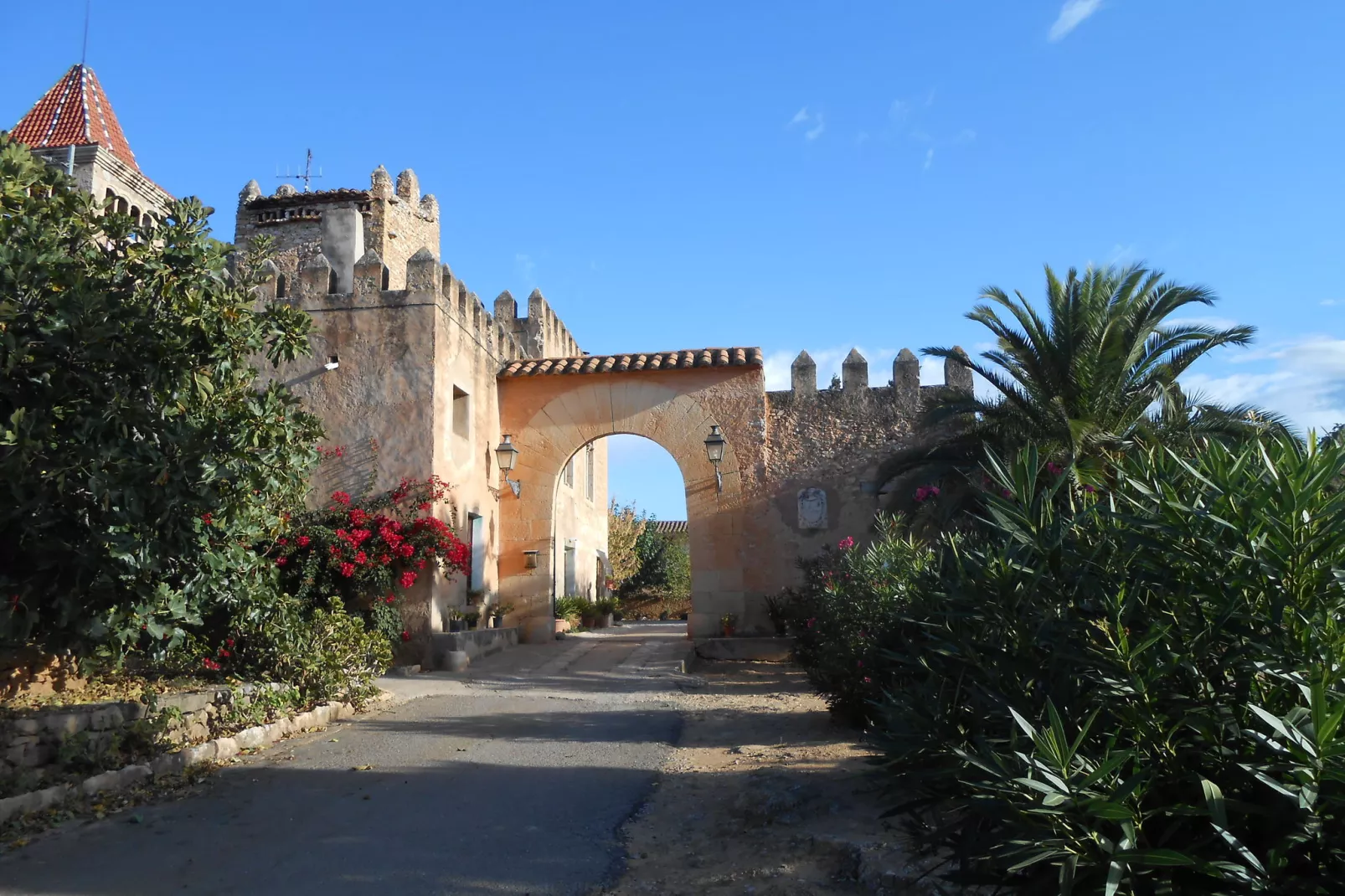 Masia Vinaixa - Areas within 1km in summer