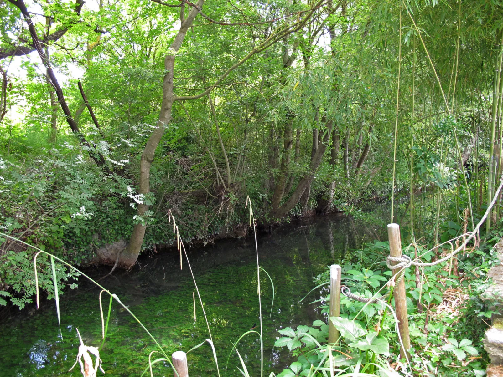 L'Isle sur la Sorgue-Outside