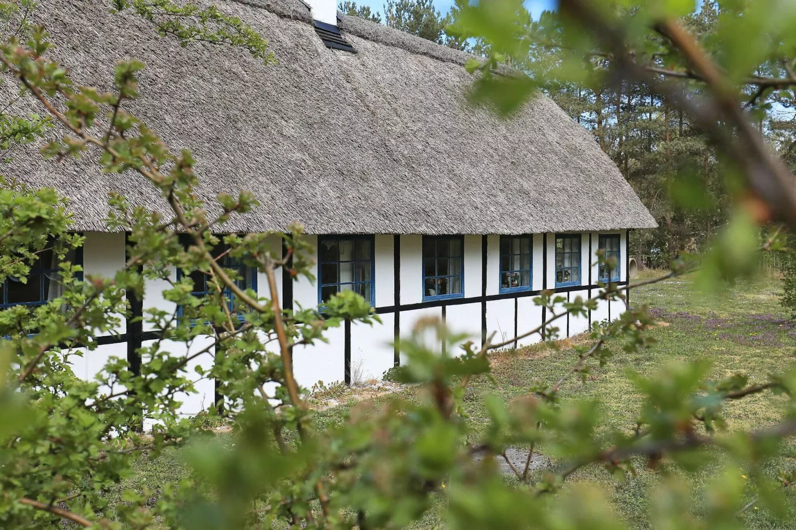 Maison de vacances pour 6 a Læsø-By Traum