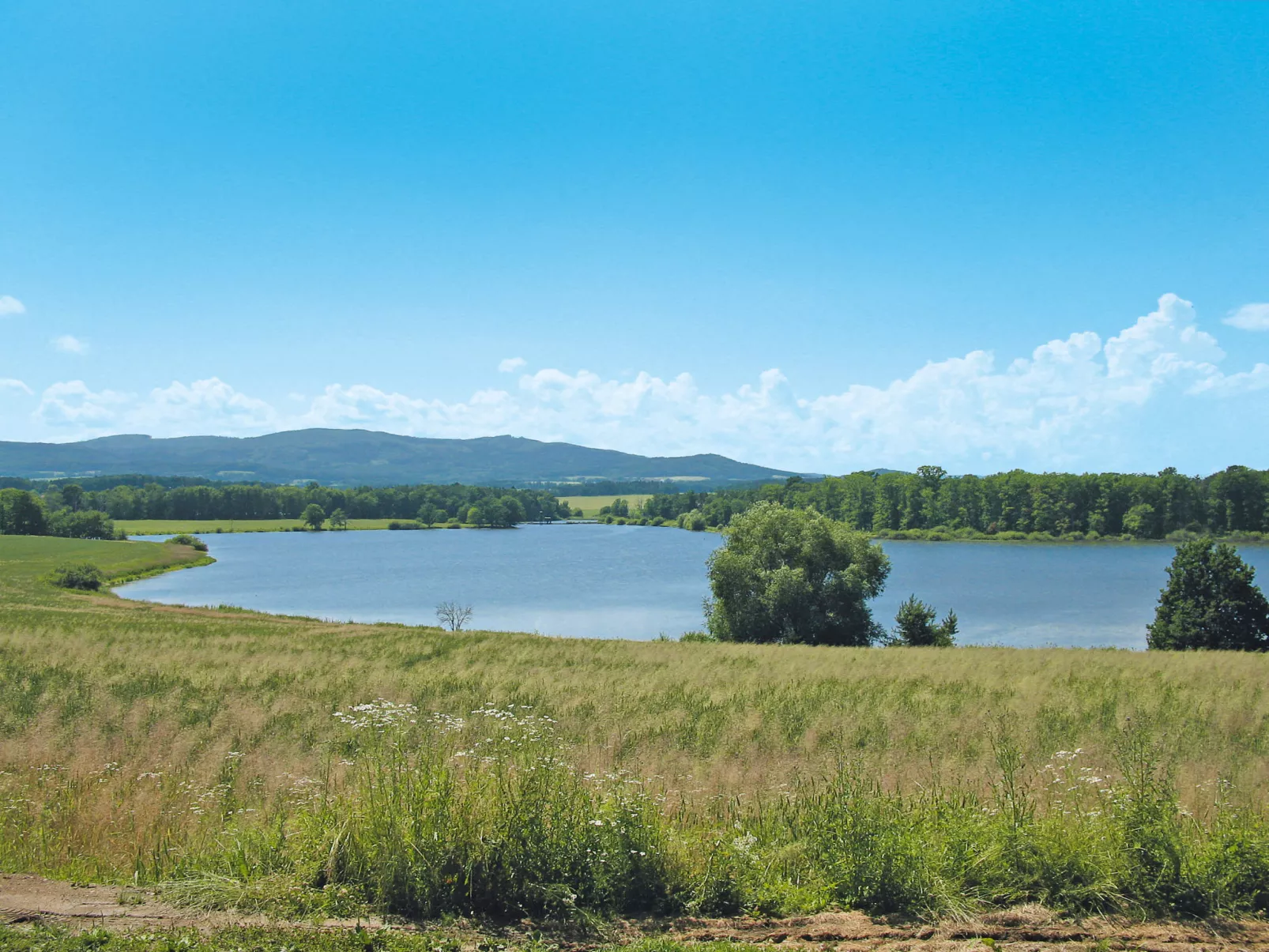 Dehtáře-Area