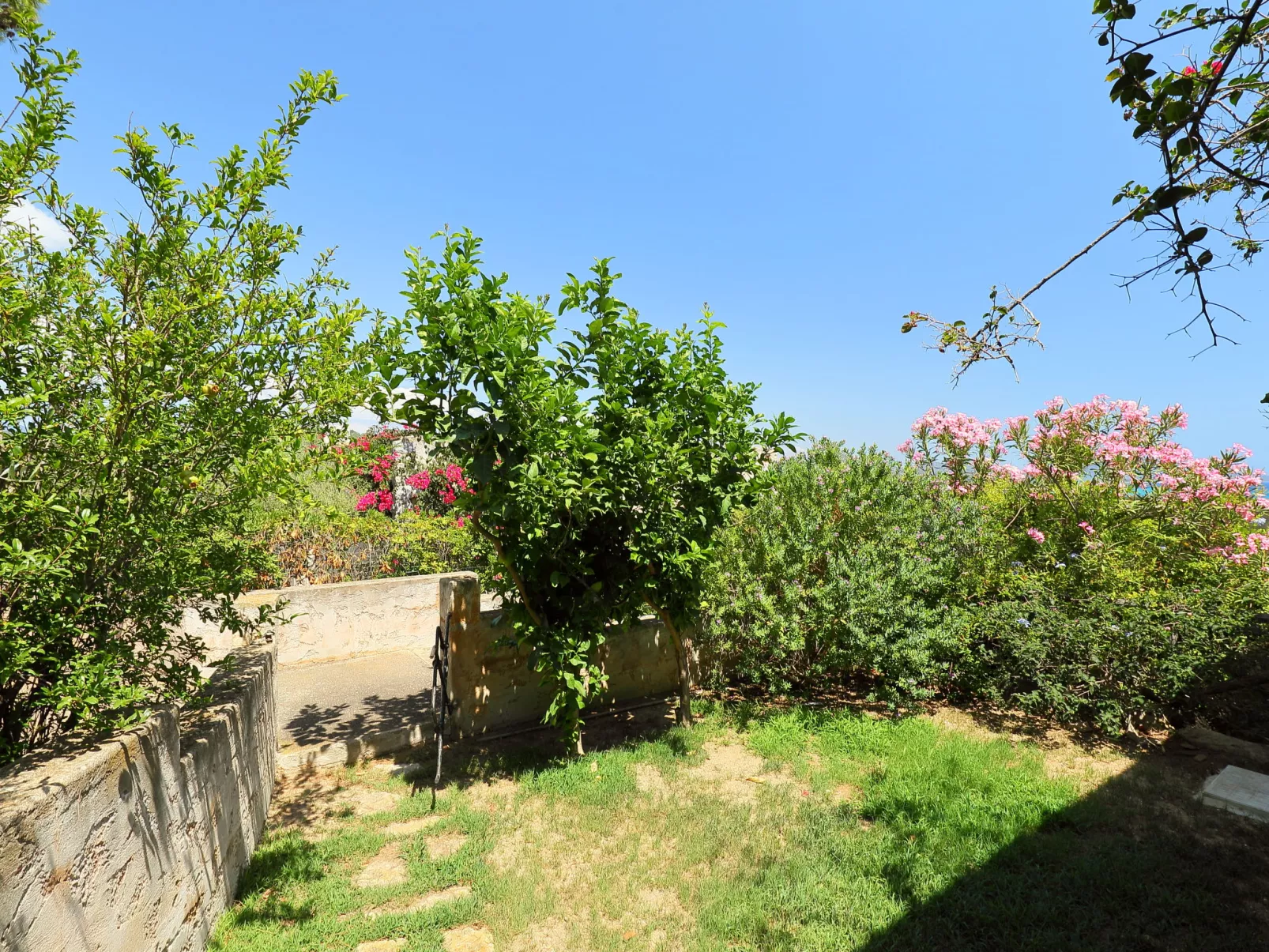 Residence Delphino (REI253)-Dehors