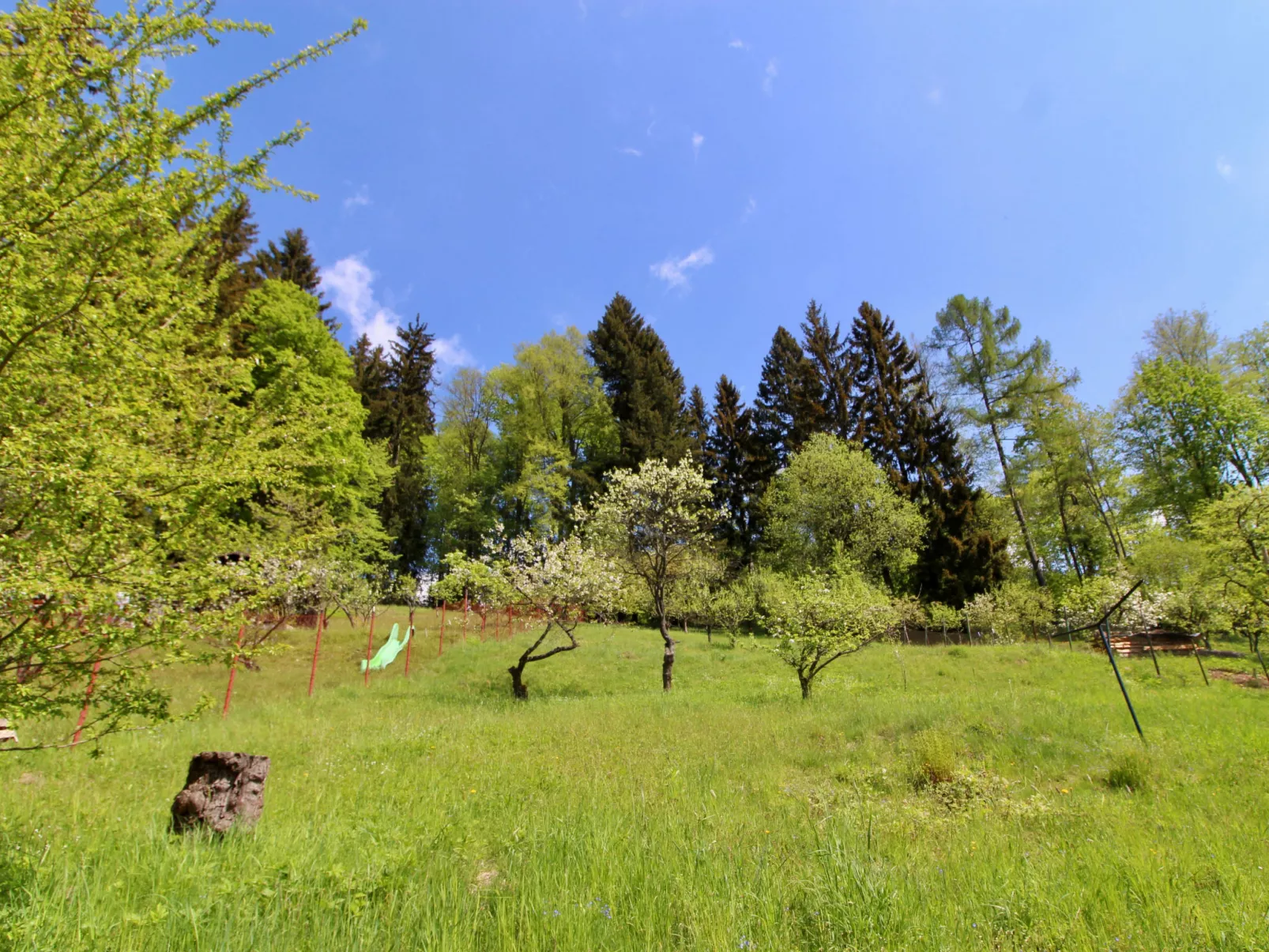 Hillside Lodge & Garden-Outside