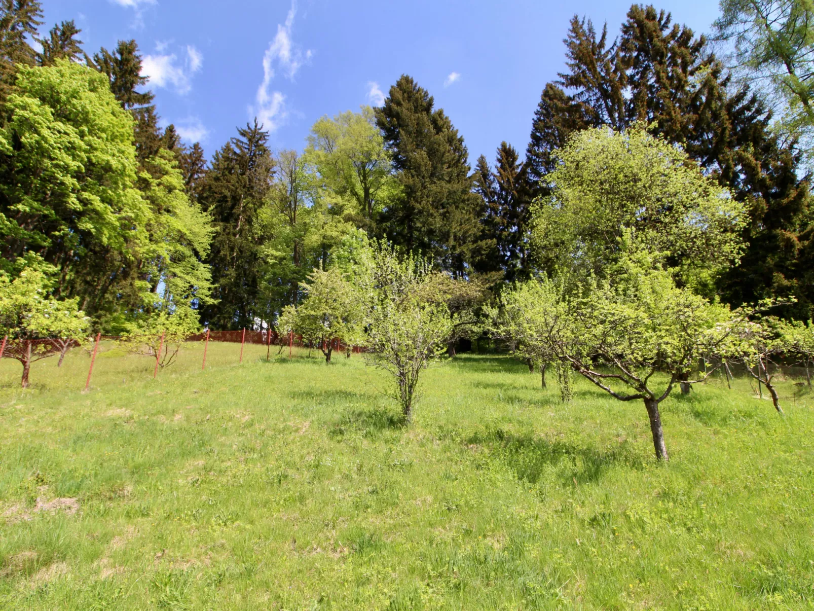 Hillside Lodge & Garden-Outside