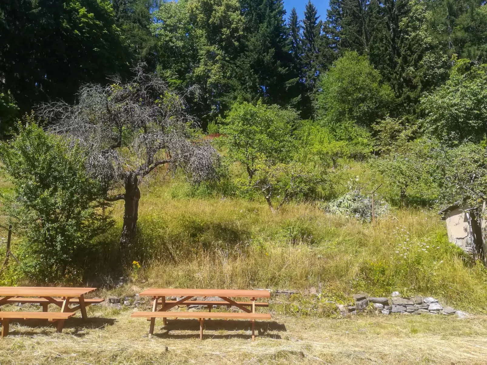 Hillside Lodge & Garden-Outside