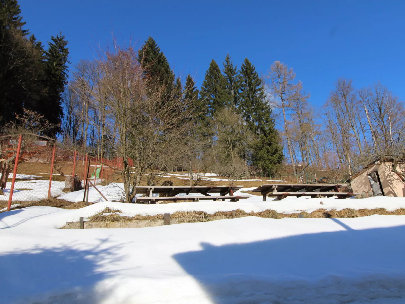 Hillside Lodge & Garden-Outside