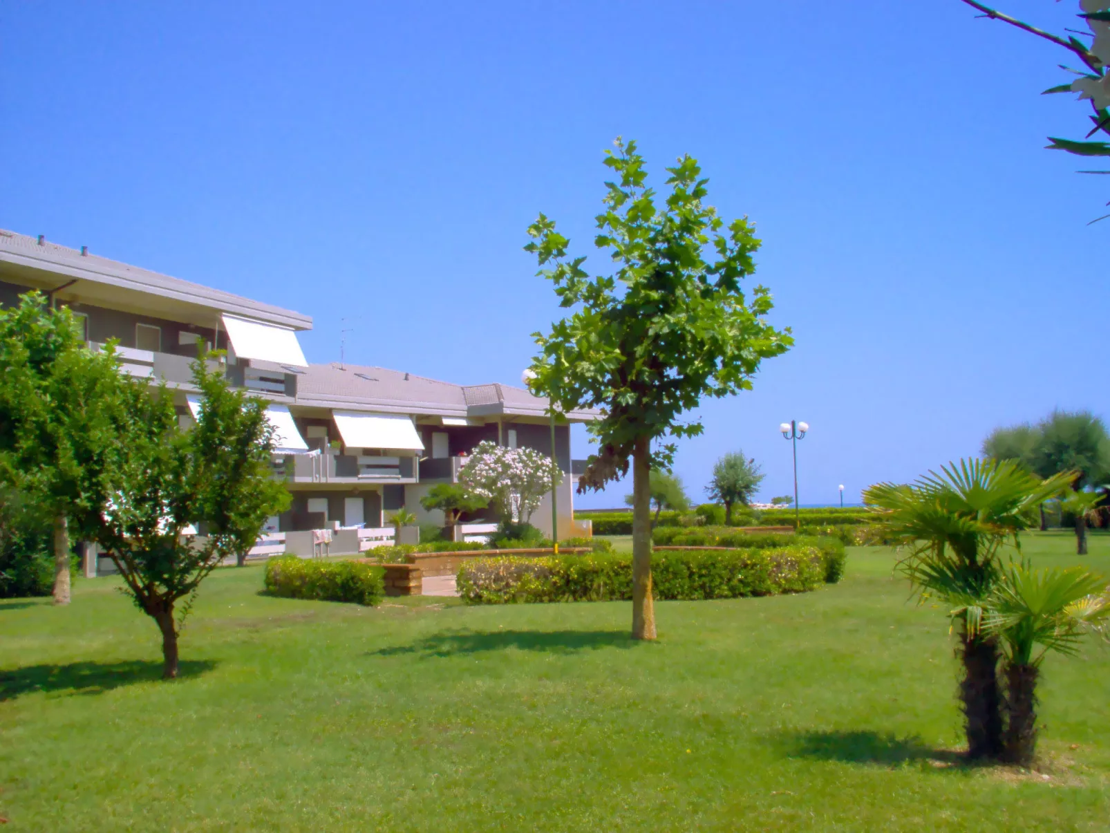Green Marine, Palme, Ismare-Outside