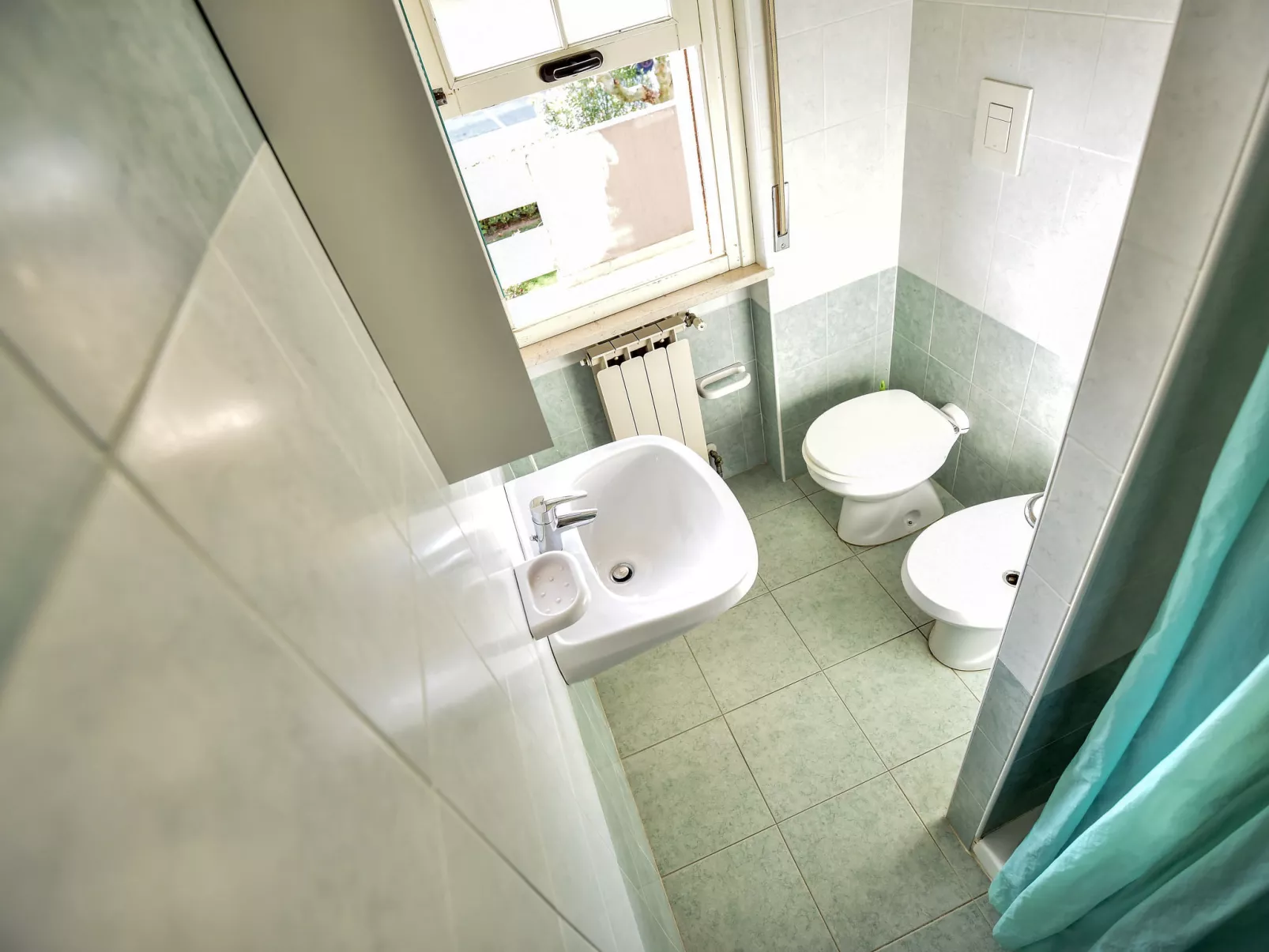 Green Marine, Palme, Ismare-Drinnen