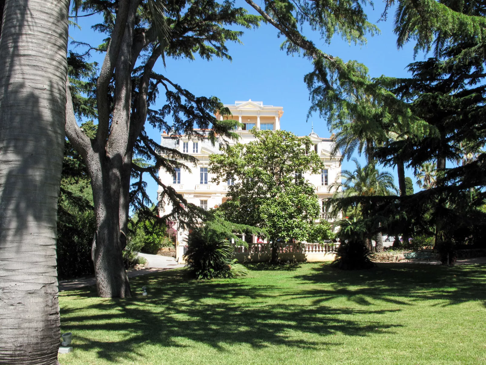 Cannes-Inside