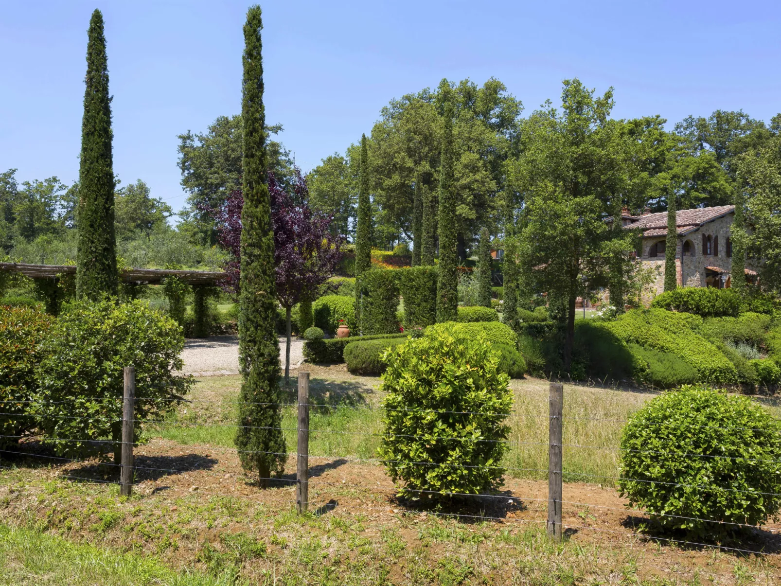 Tenuta Farneta-Draußen