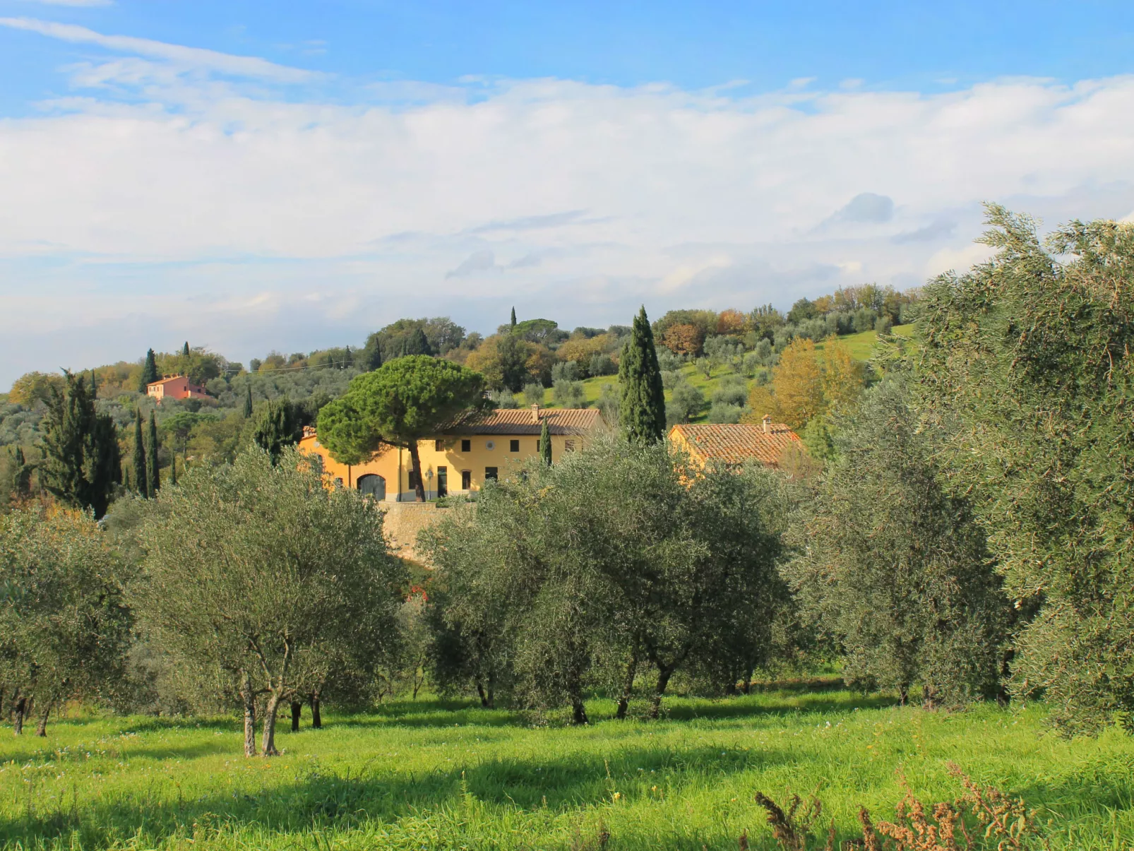 Montereggi-Draußen