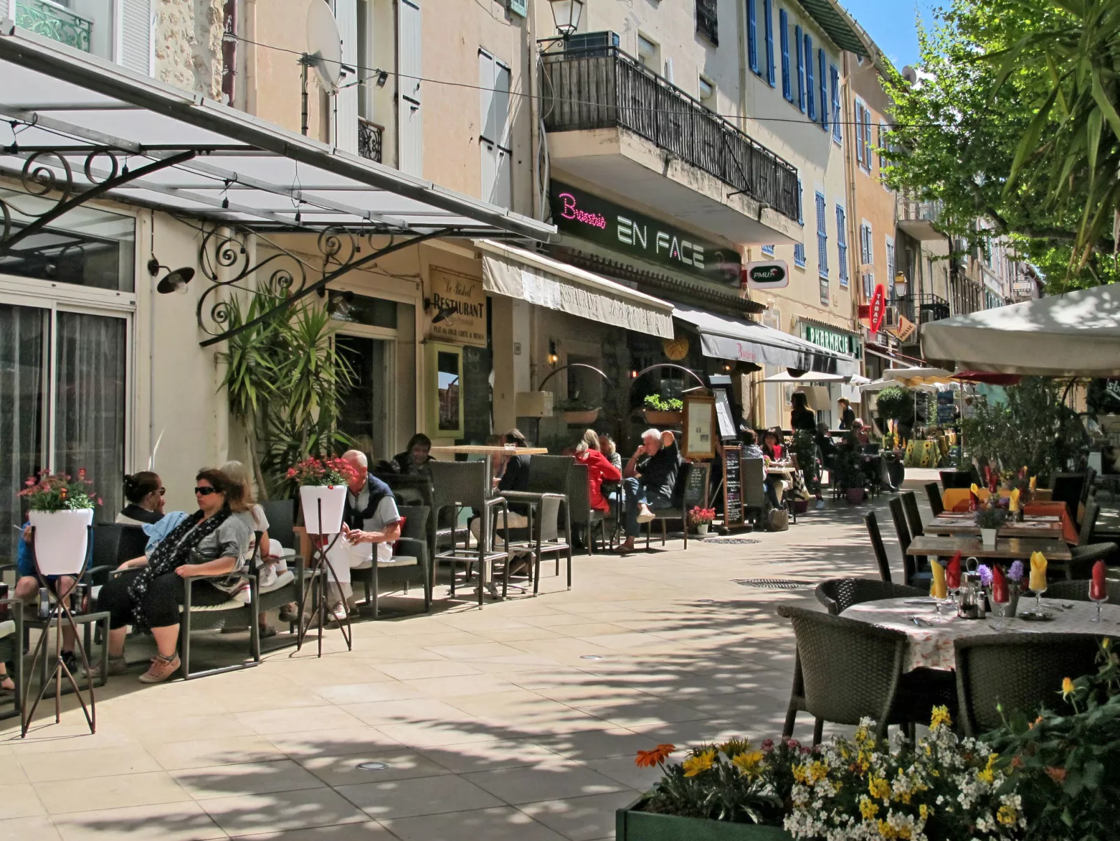 Micocoulier-Area