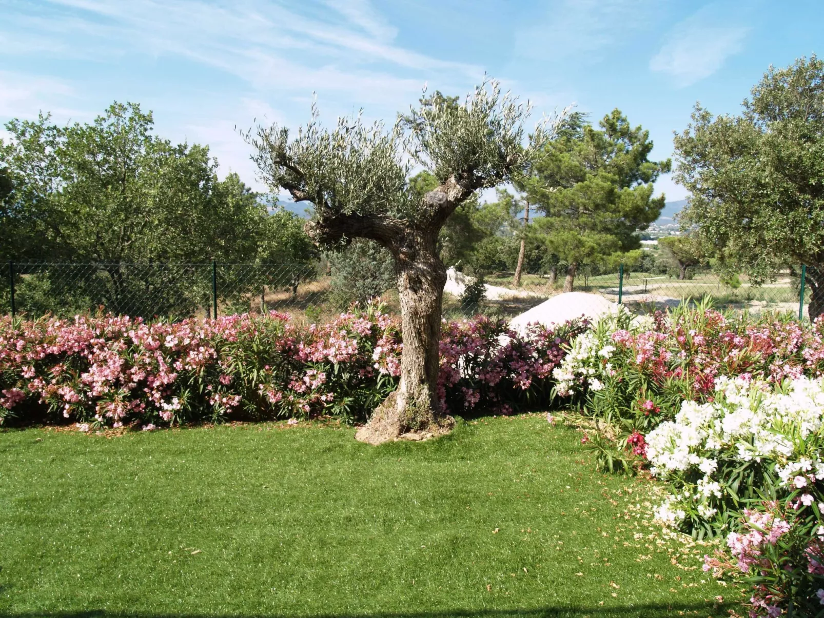 Green Bastide M46P-Outside