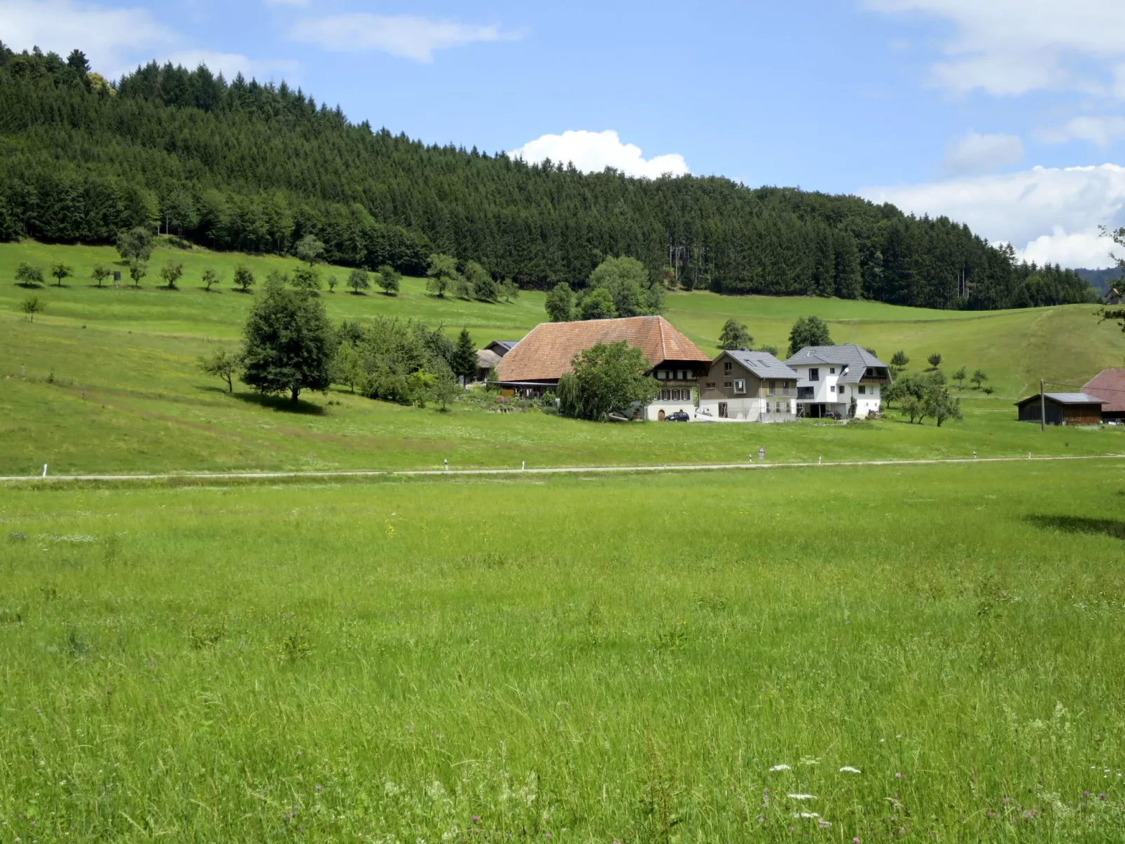 Kinast (HFT201)-Draußen